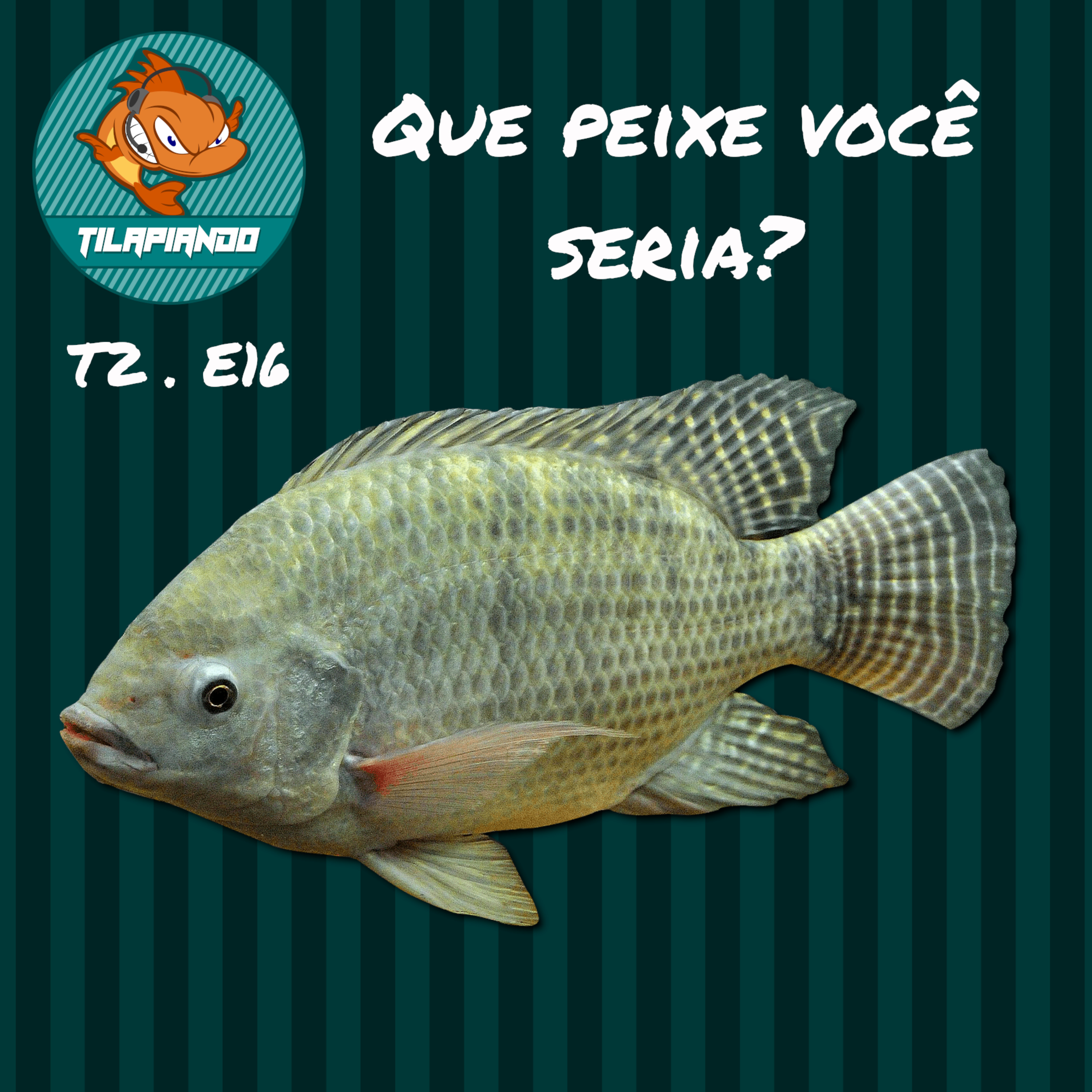 Tilapiando