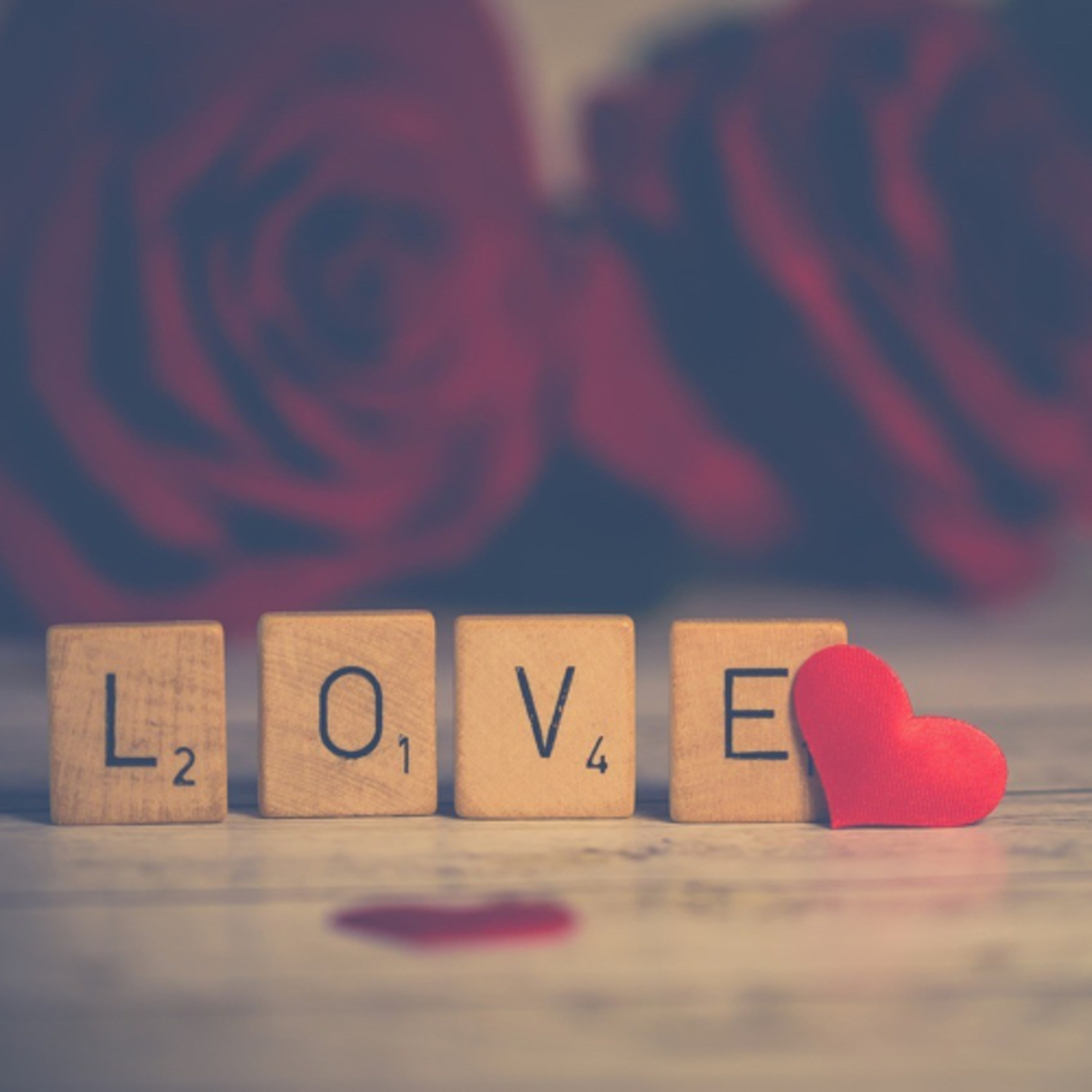 LOVE IS THE REASON FOR THE SEASON