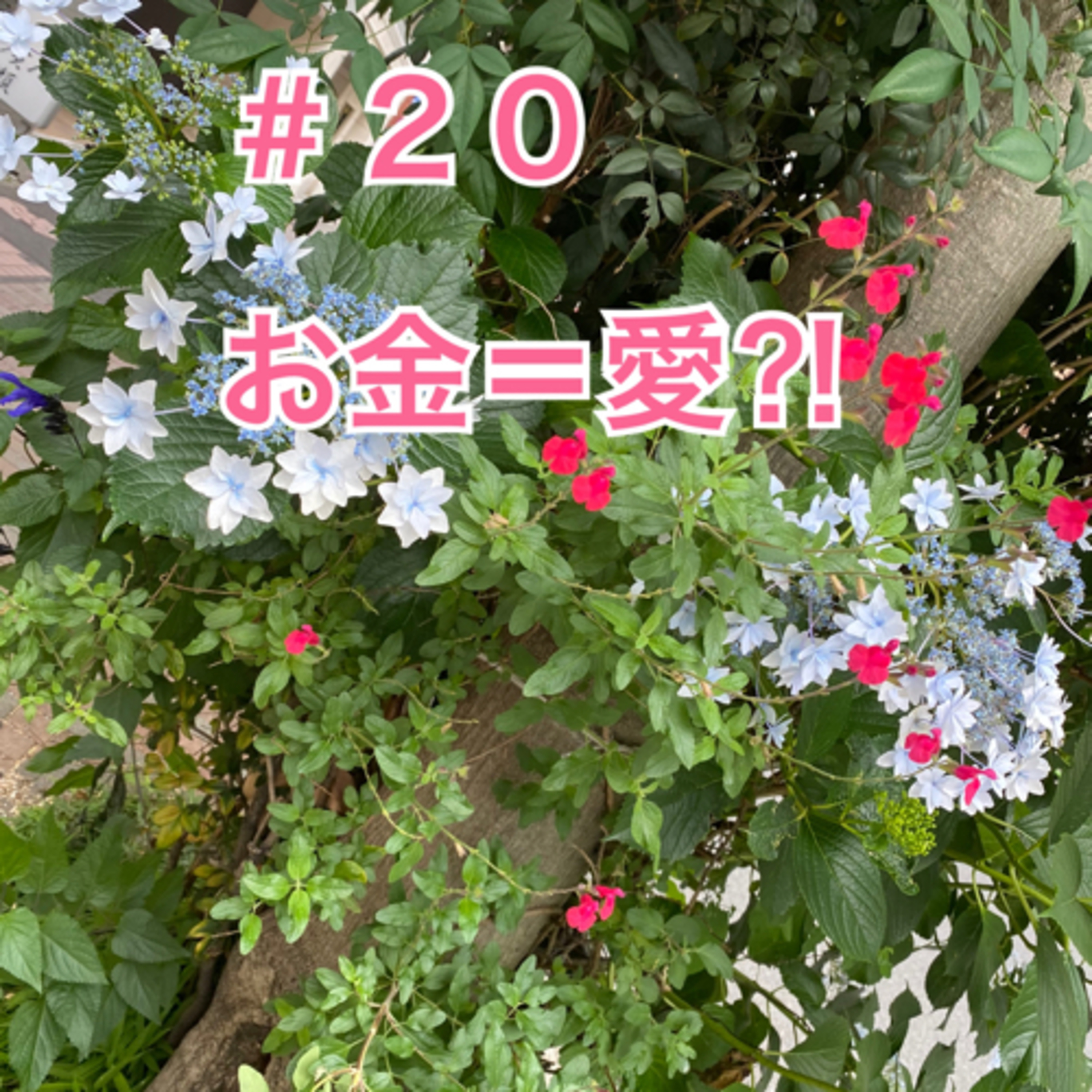 #20 お金＝愛⁈ episode artwork
