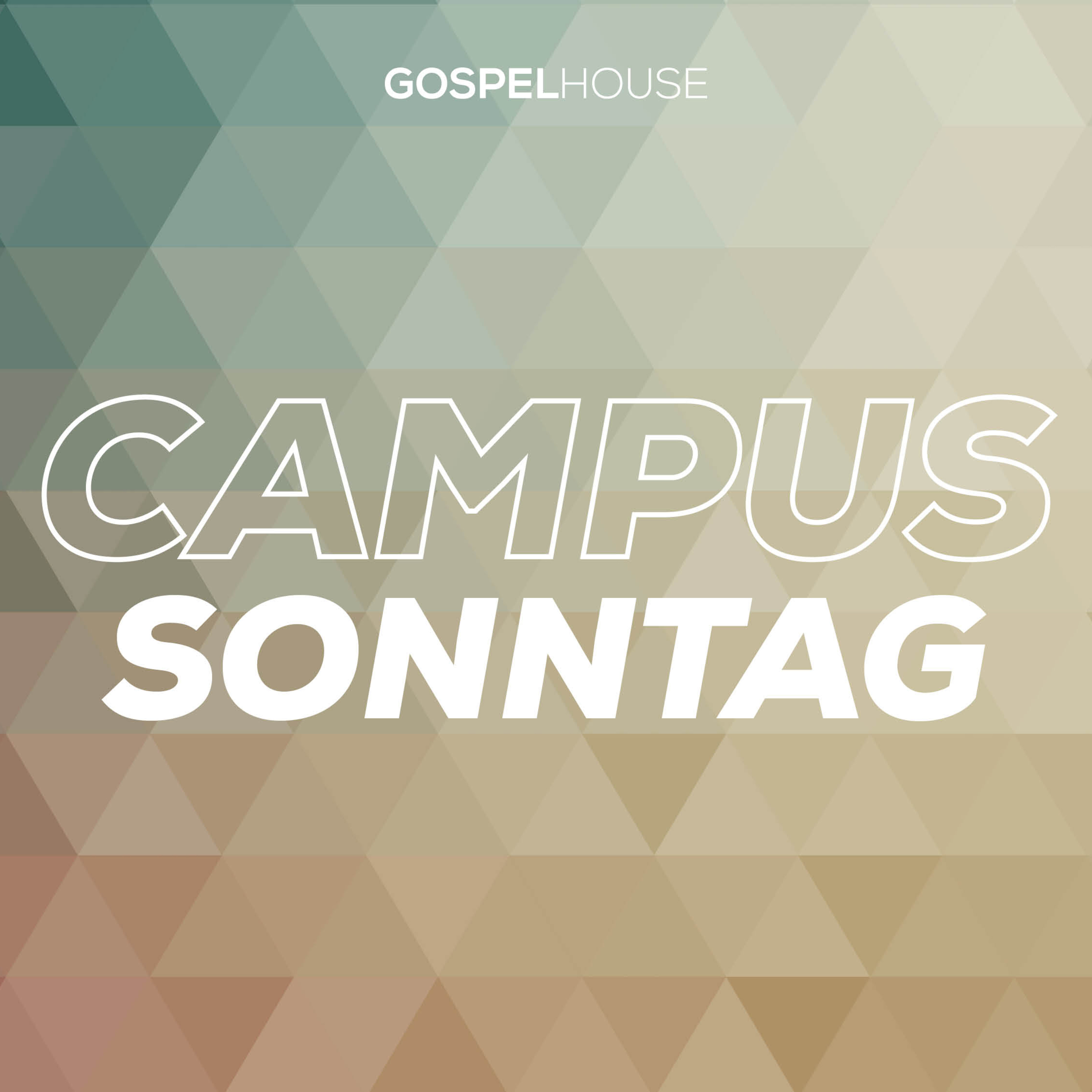 Stefan Striefler I Campus Sonntag episode artwork