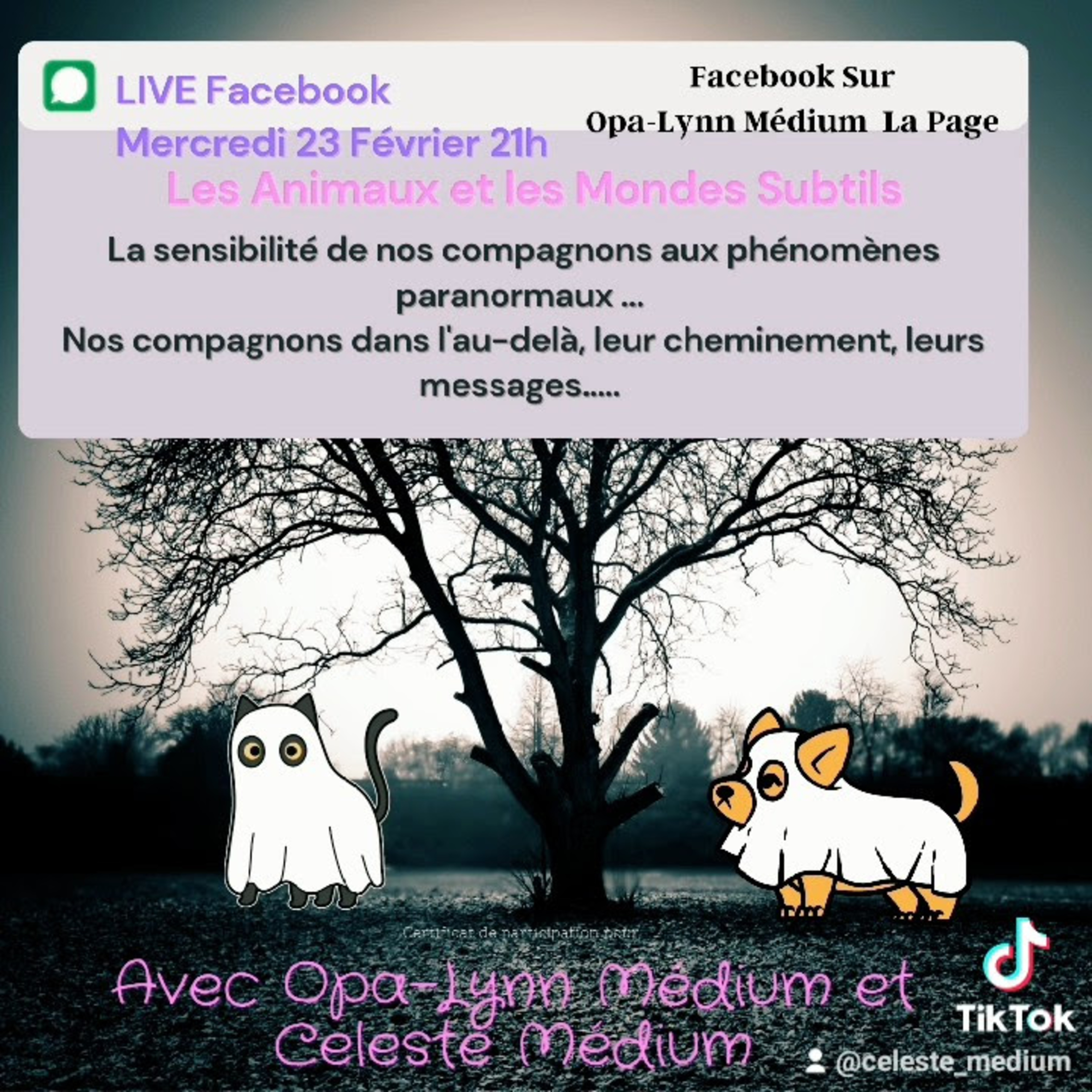 Nos Animaux: Leur Chemin Dans l'Au-Delà.