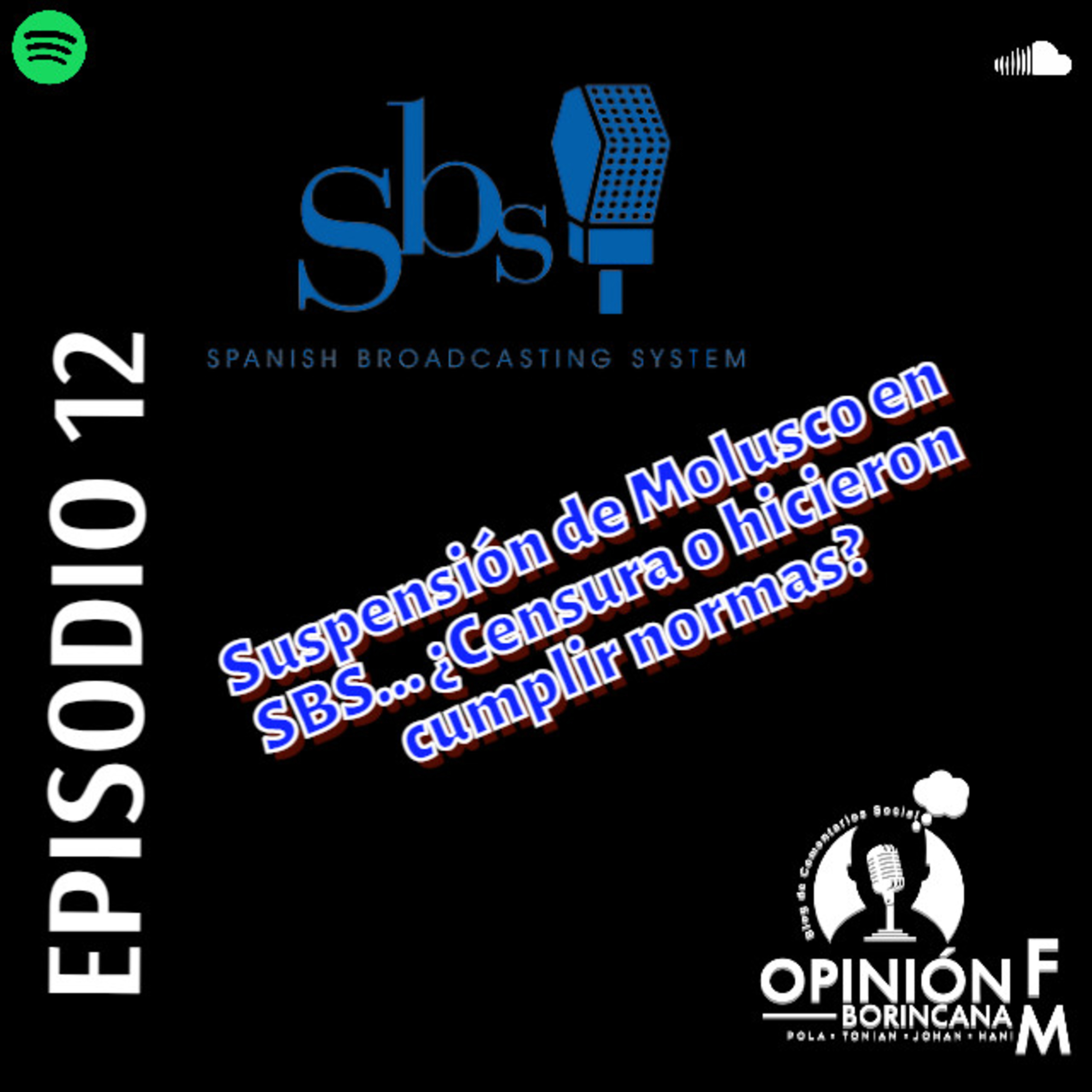 Opinión Borincana