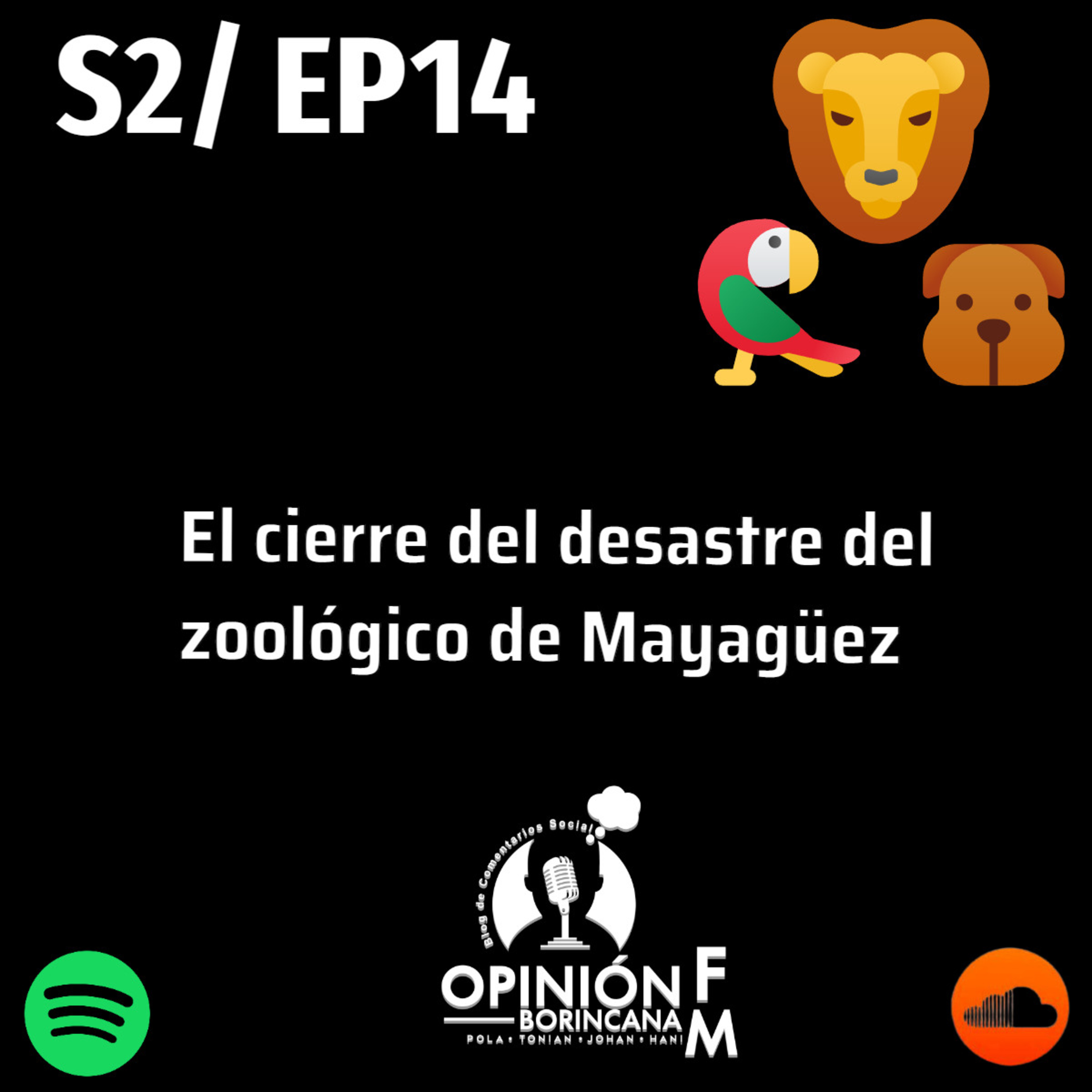 Opinión Borincana