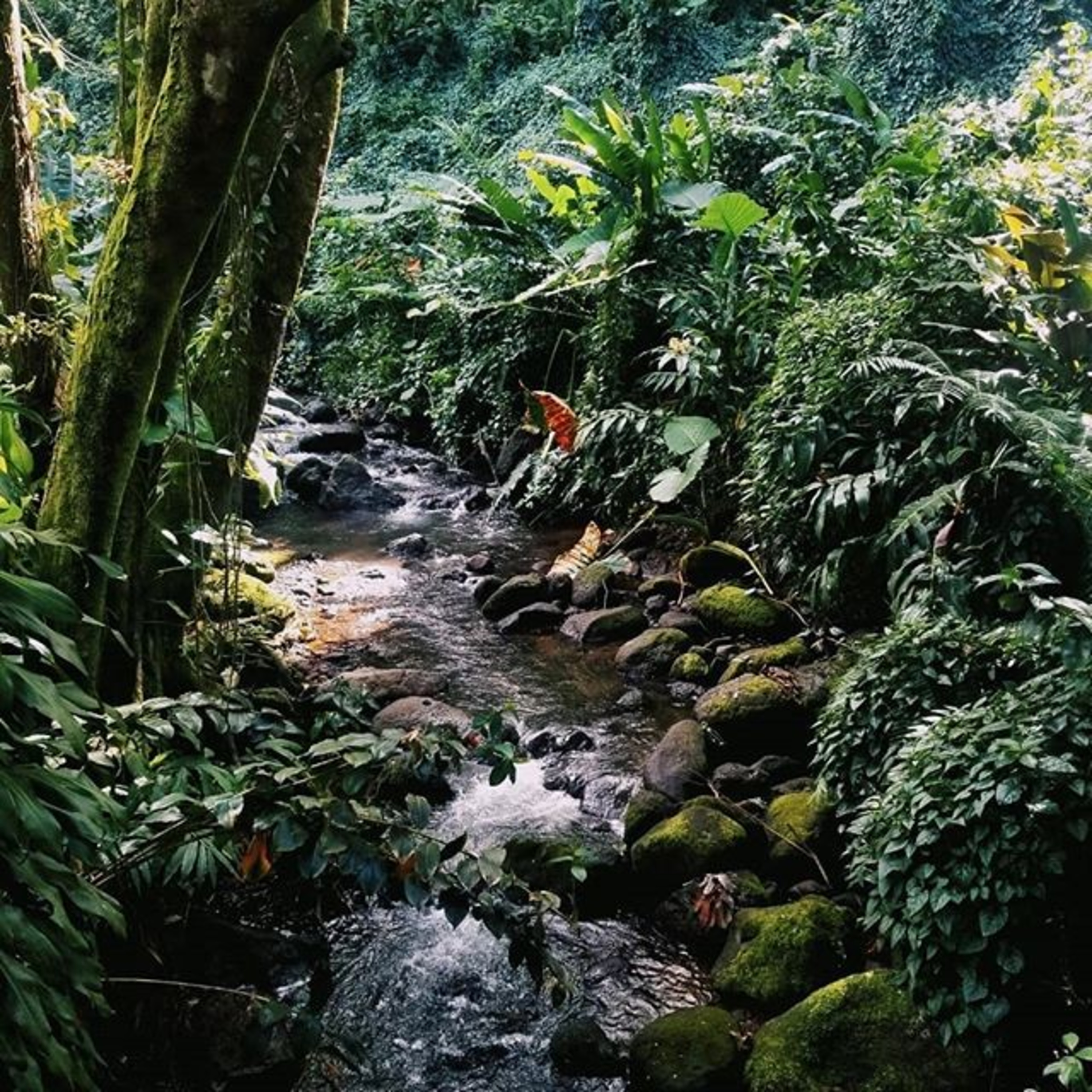 Chasing Waterfalls  episode artwork