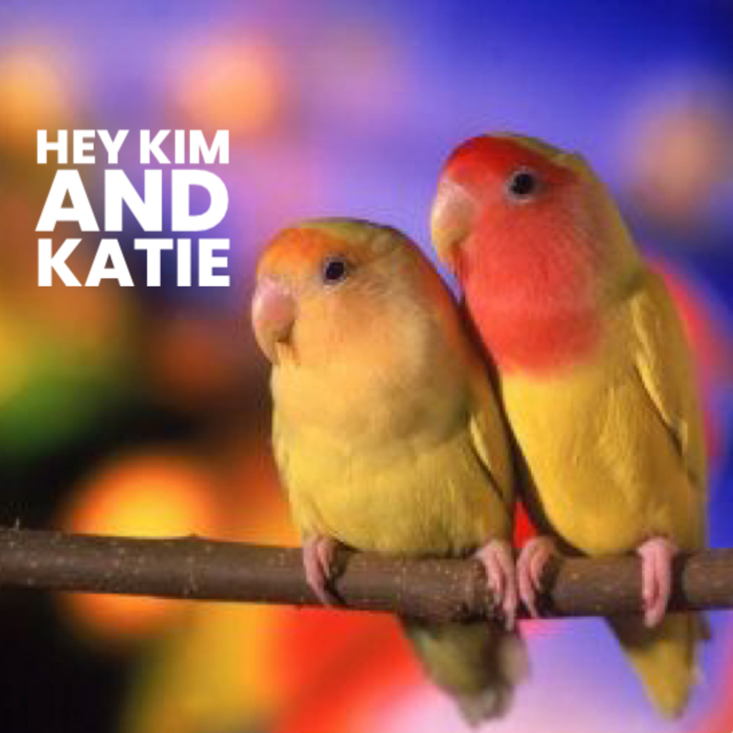 Our Love Birds Take Center Stage