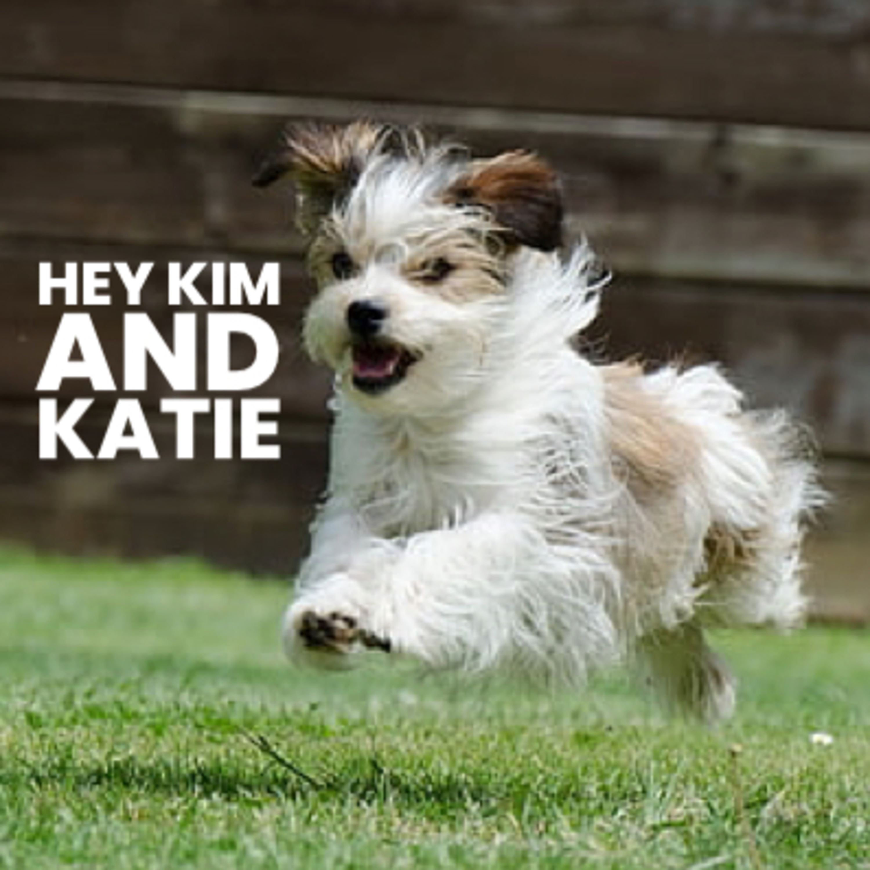 Skedaddle Fido