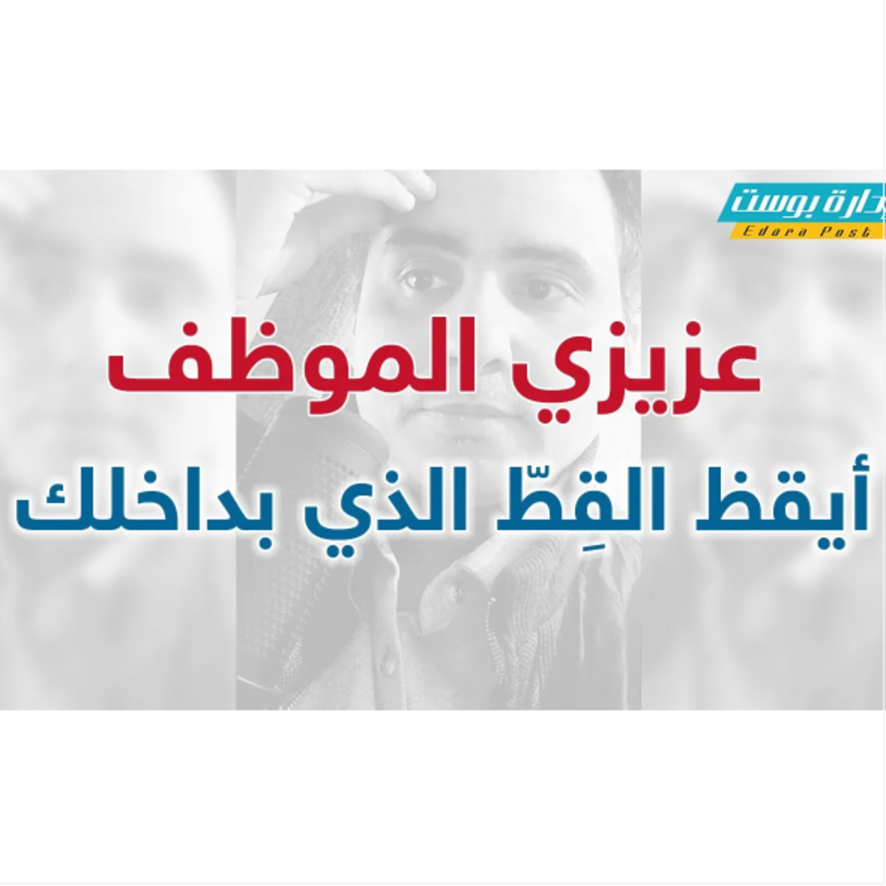 عزيزي الموظف.. أيقظ القِطّ الذي بداخلك | إدارة بوست | د.عبدالعزيز القدسي episode artwork