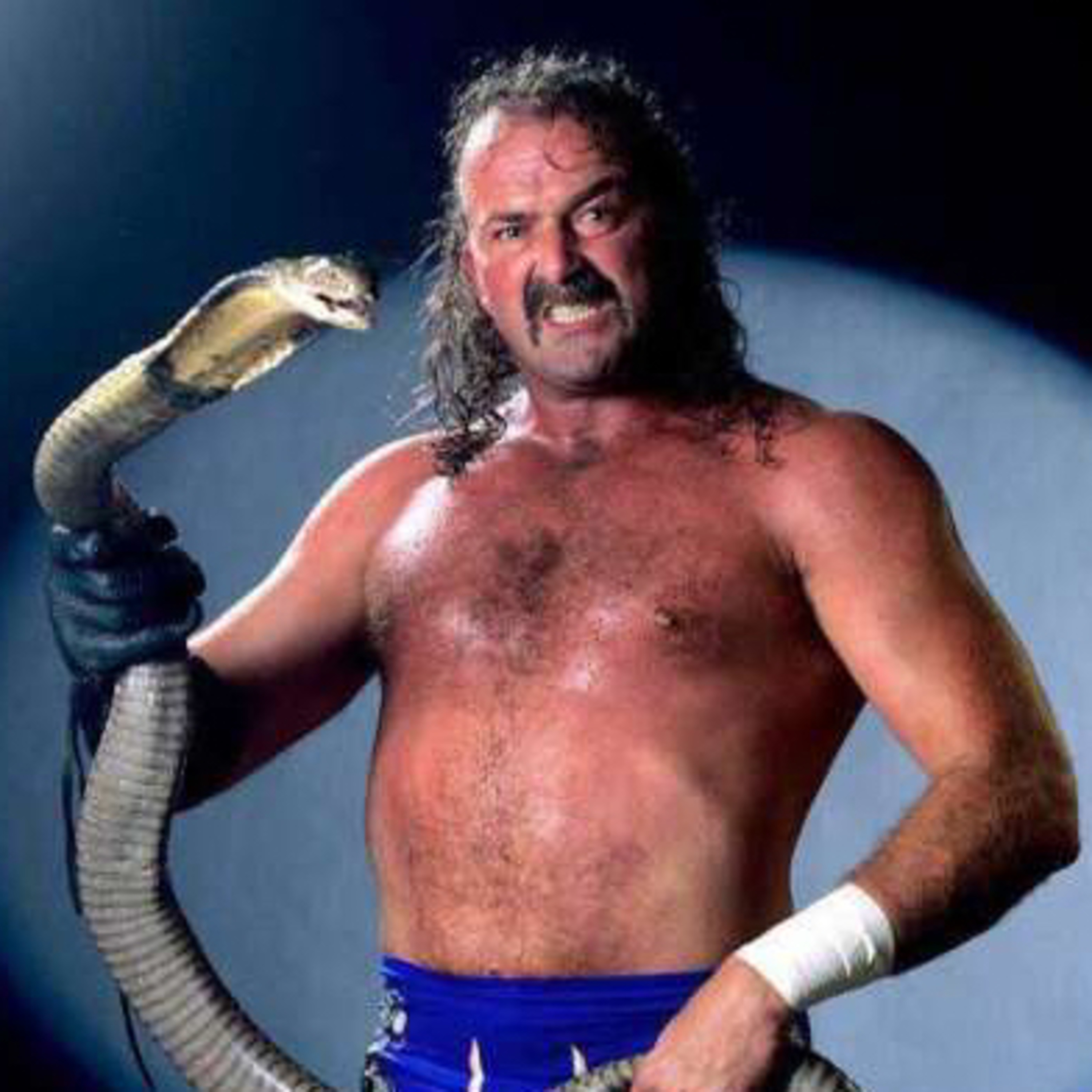 Panel with Jake “The Snake” Roberts recorded at Days of the Dead Las Vegas (February 18, 2023)