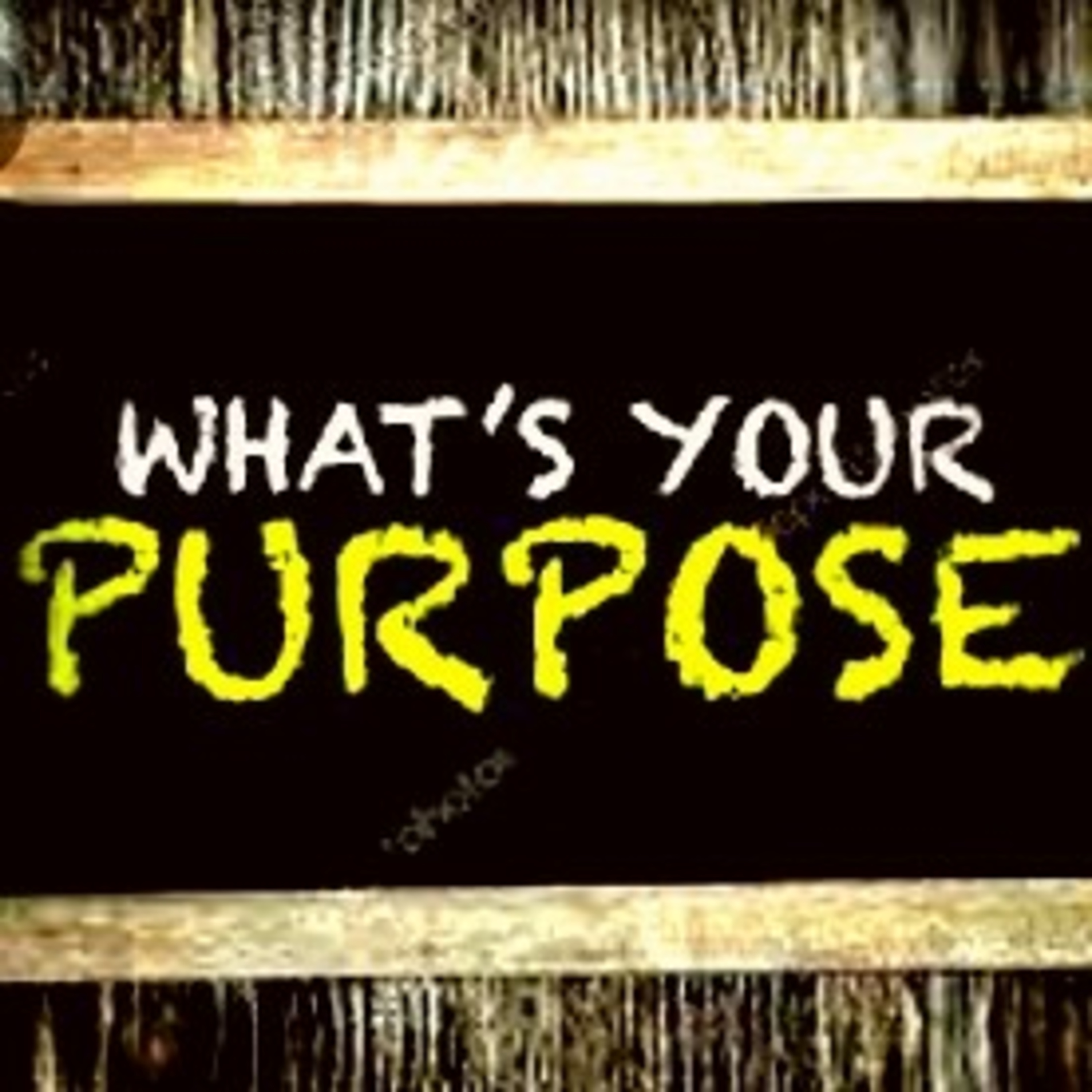 Purpose Discovery 2 episode artwork