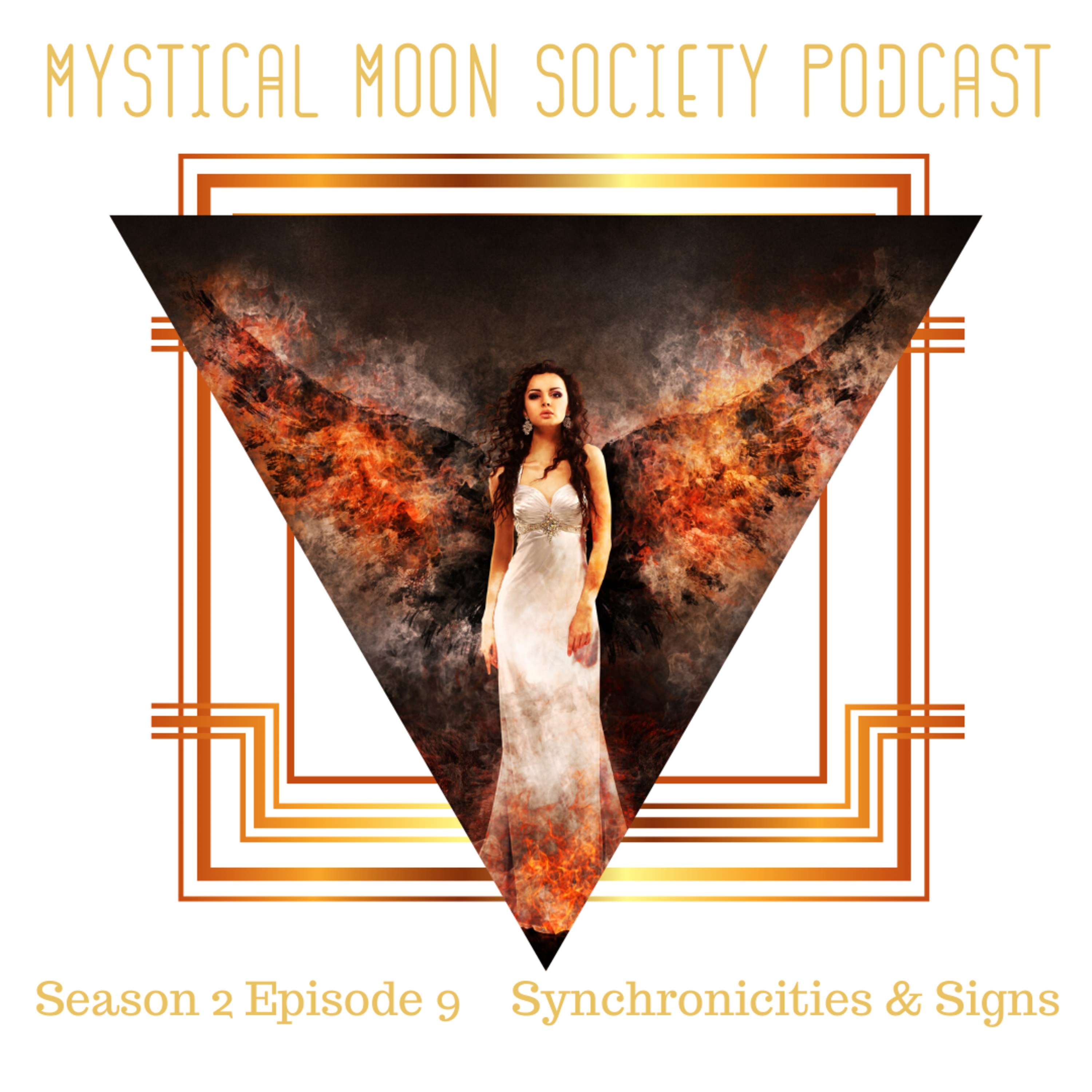 Synchronicities and Signs - Phoenix Rising episode artwork