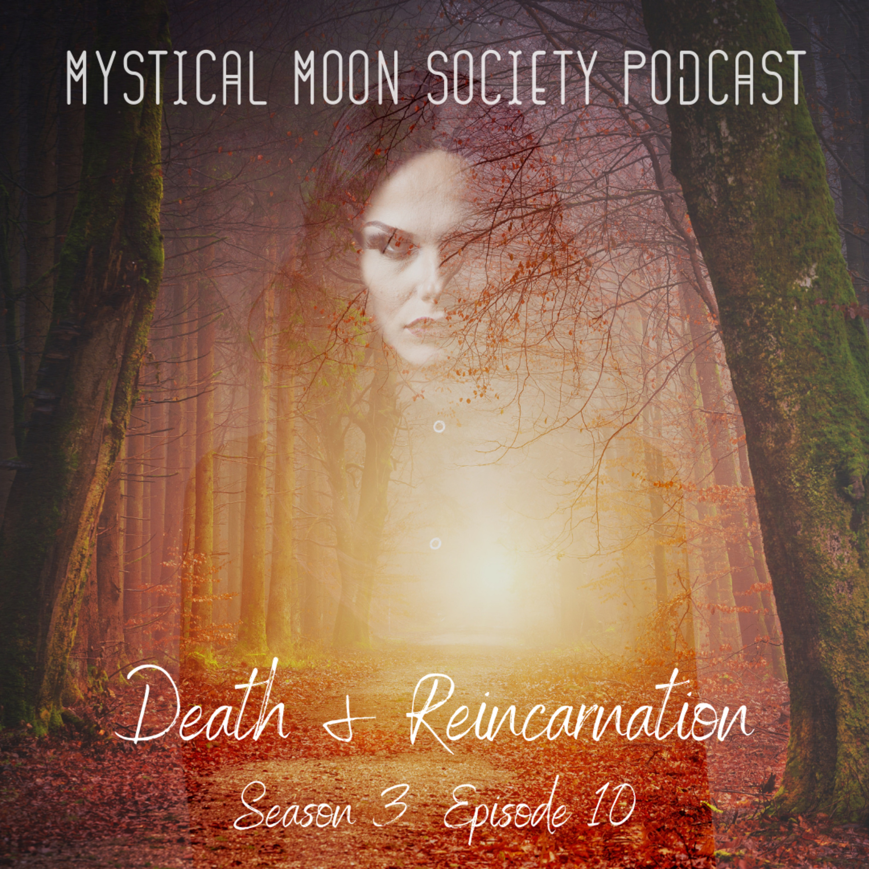 Death and Reincarnation episode artwork