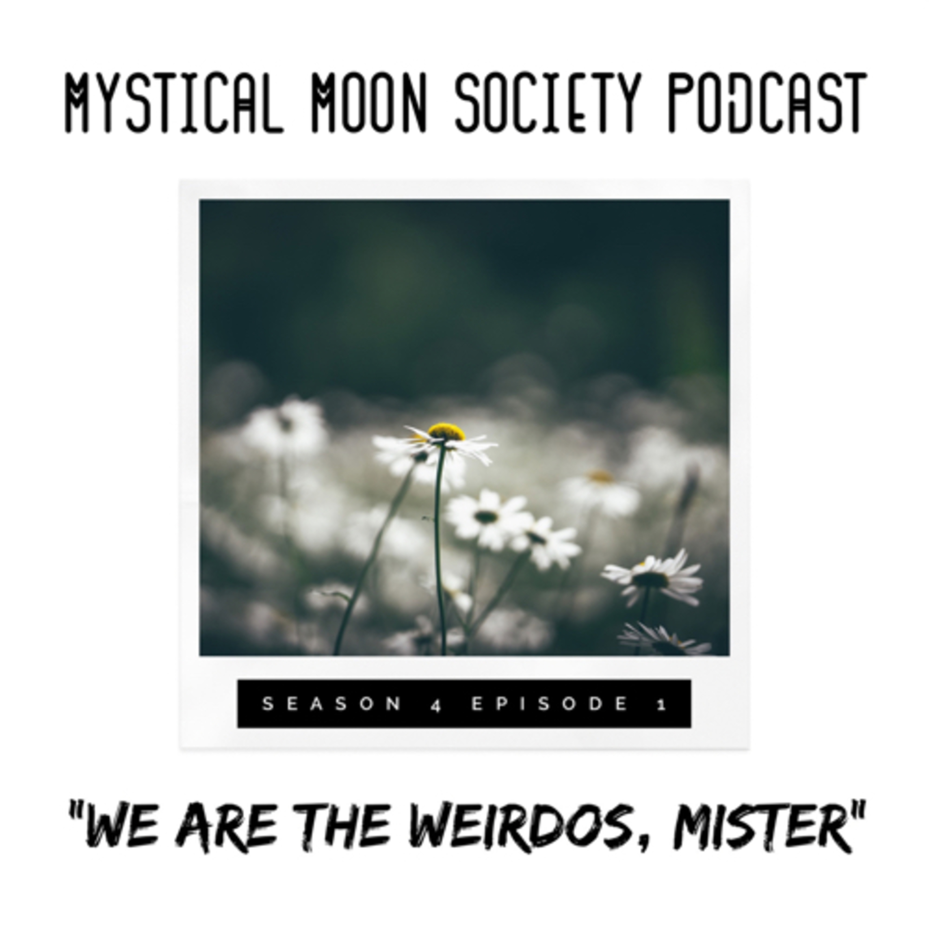 We Are the Weirdos, Mister 