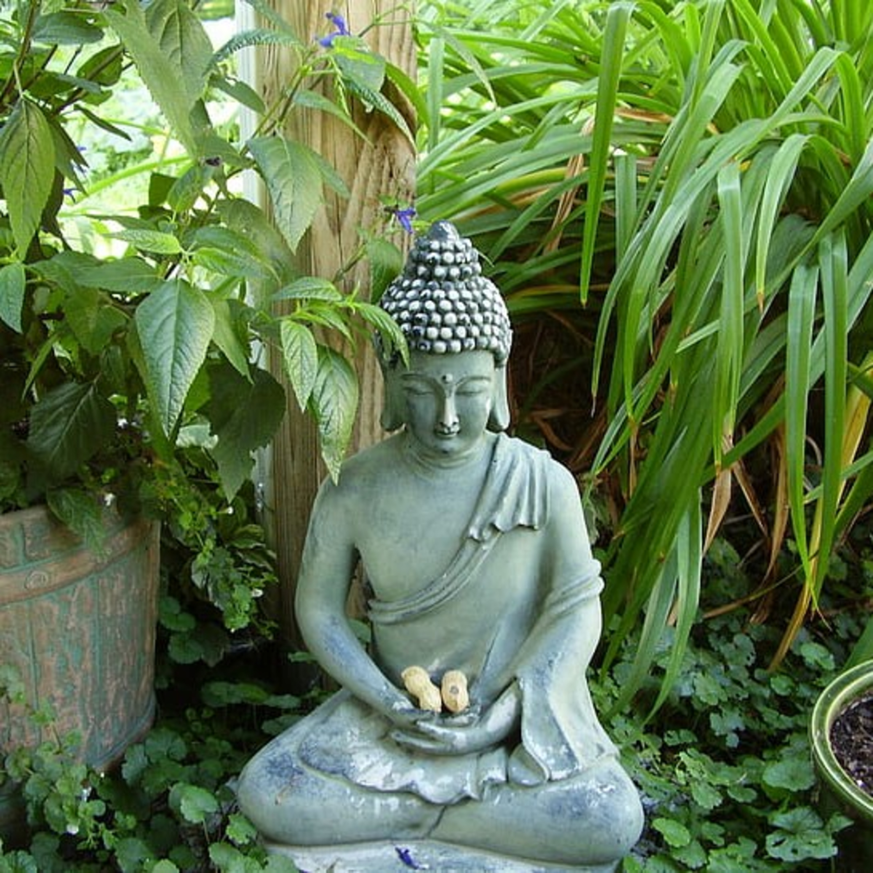 Mindfulness meditation episode artwork