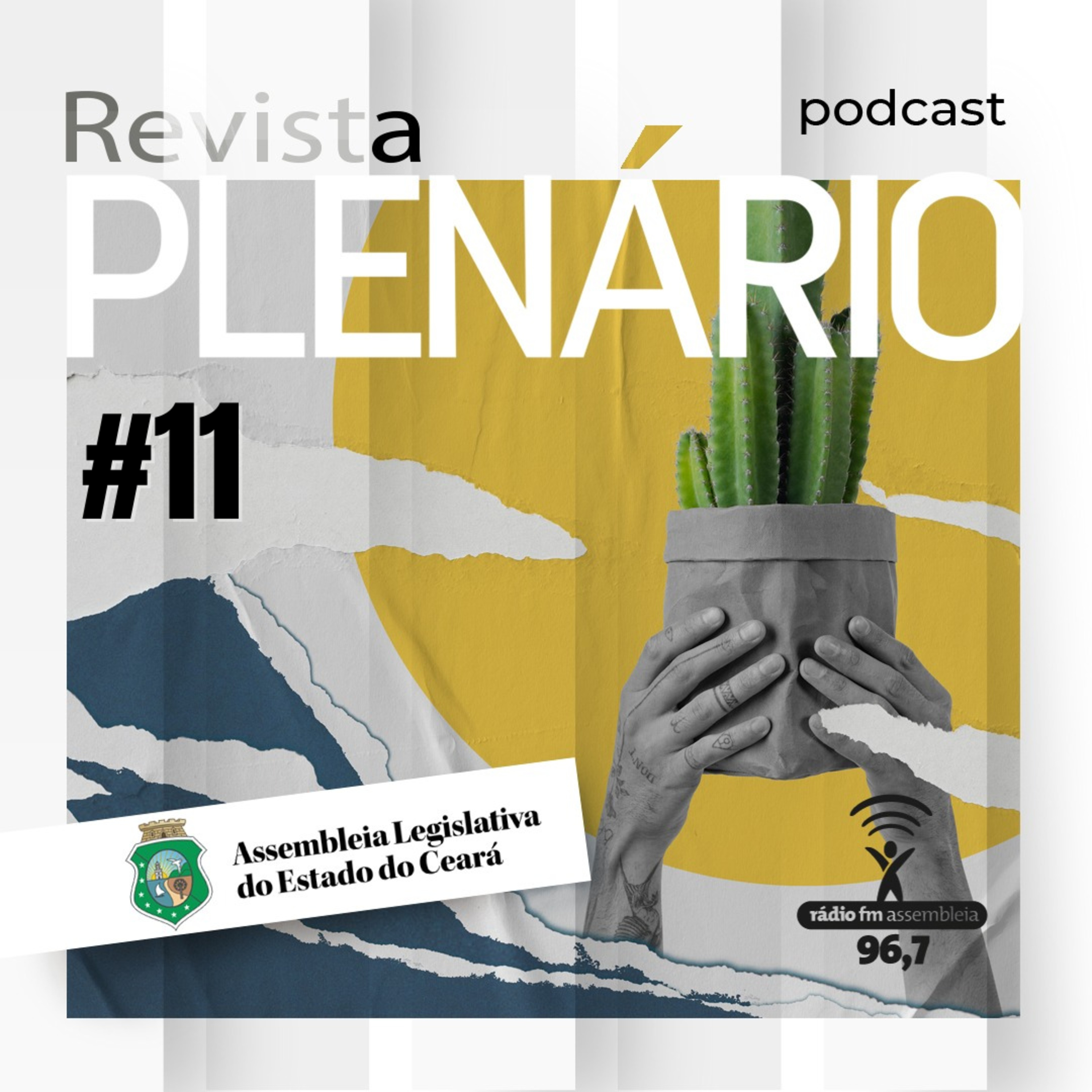 Podcast Revista Plenário