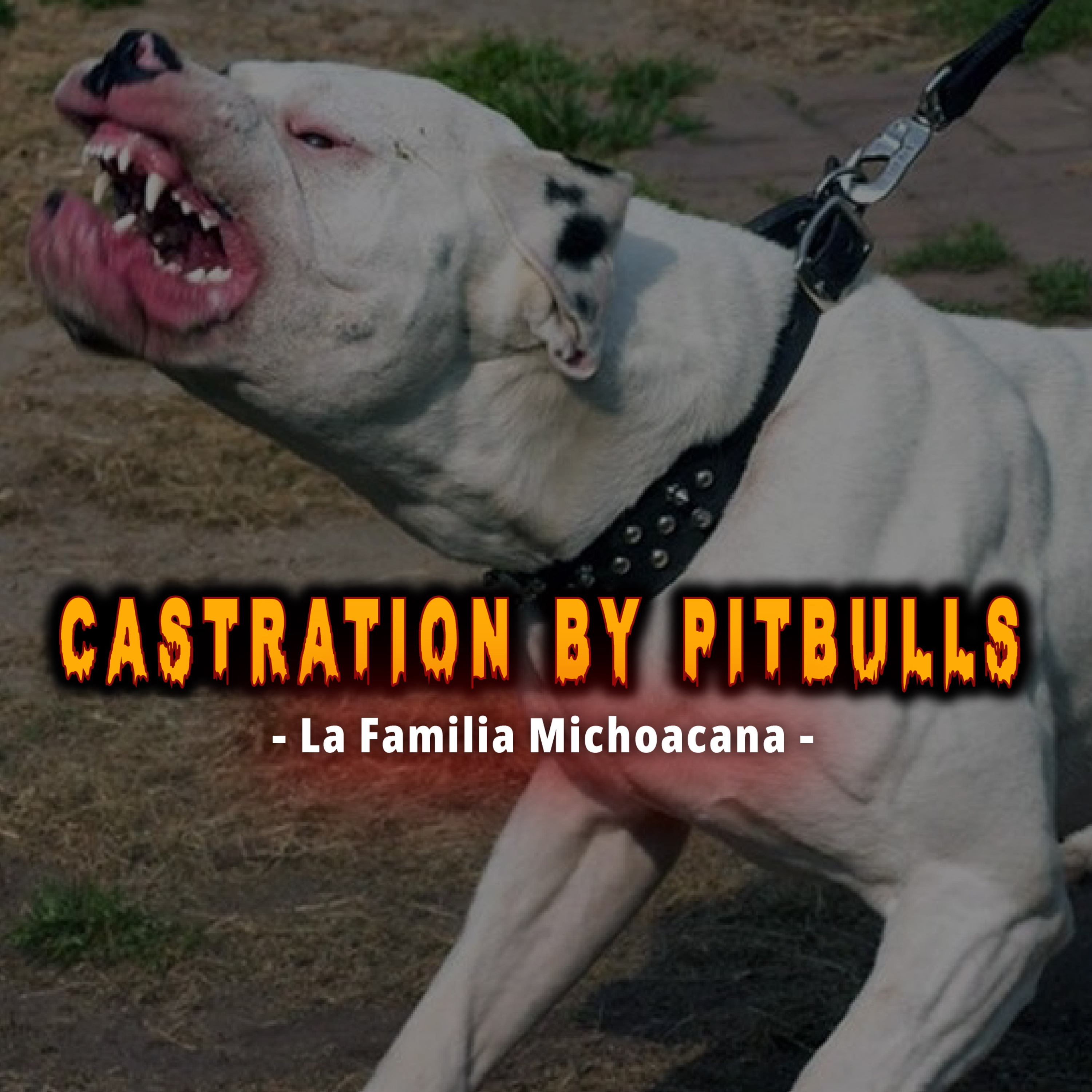 Castration By Pitbulls - La Familia Michoacana episode artwork