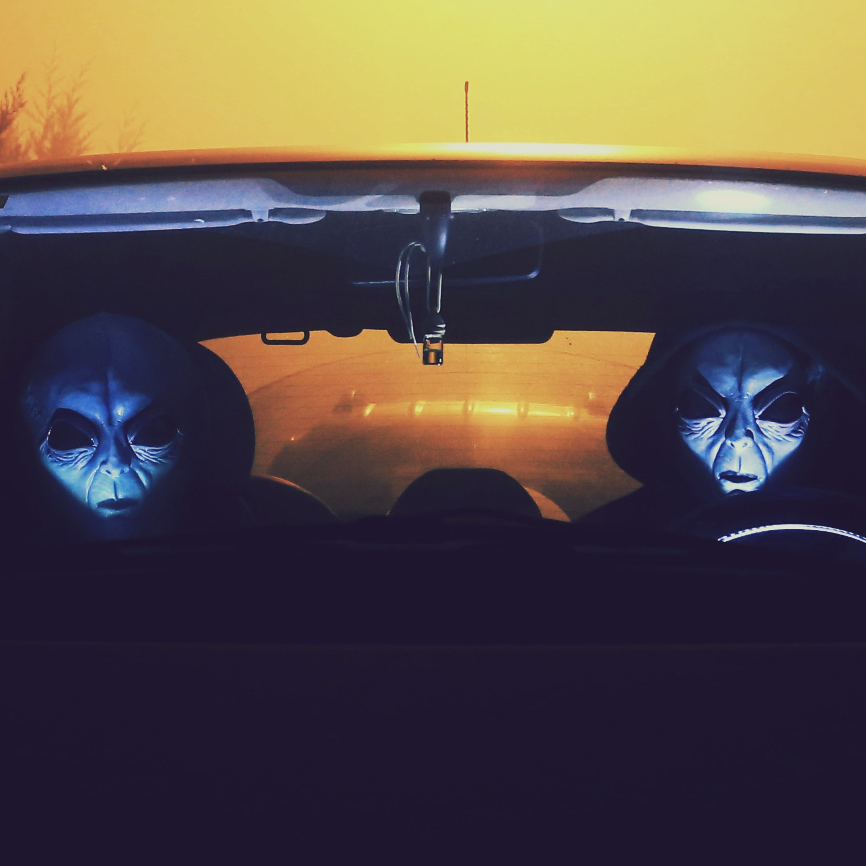 VEHICULAR MAN SLAUGHTER PARADOX episode artwork