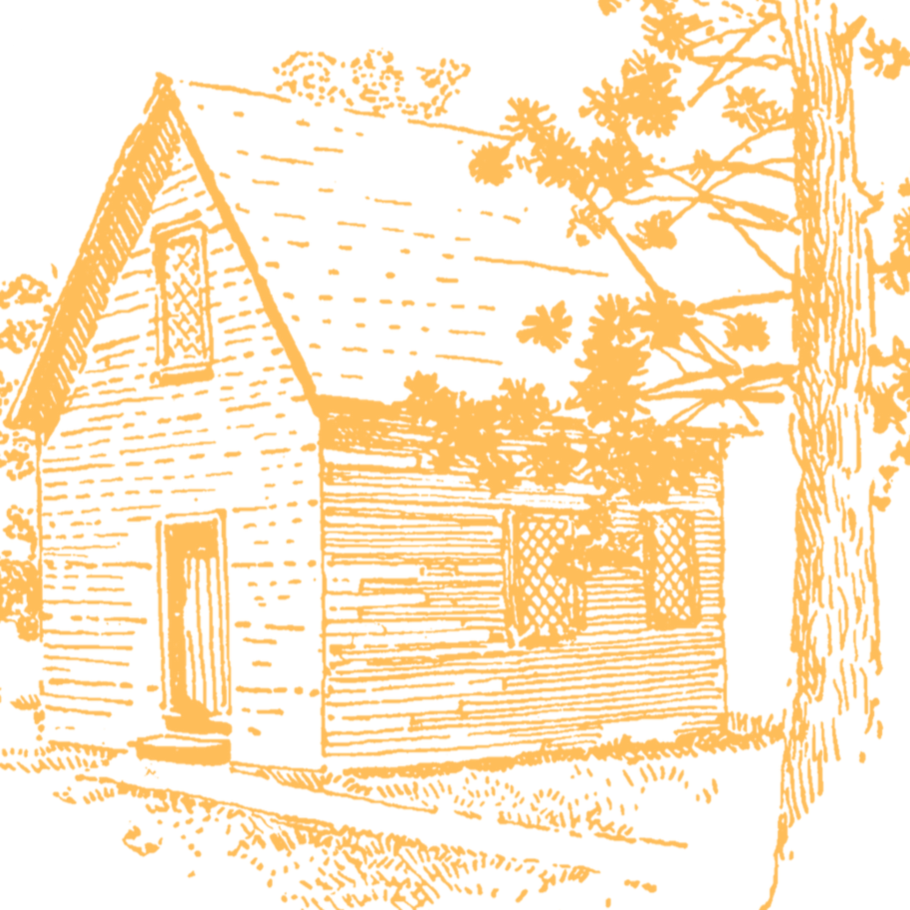 Cabin in the Clearing