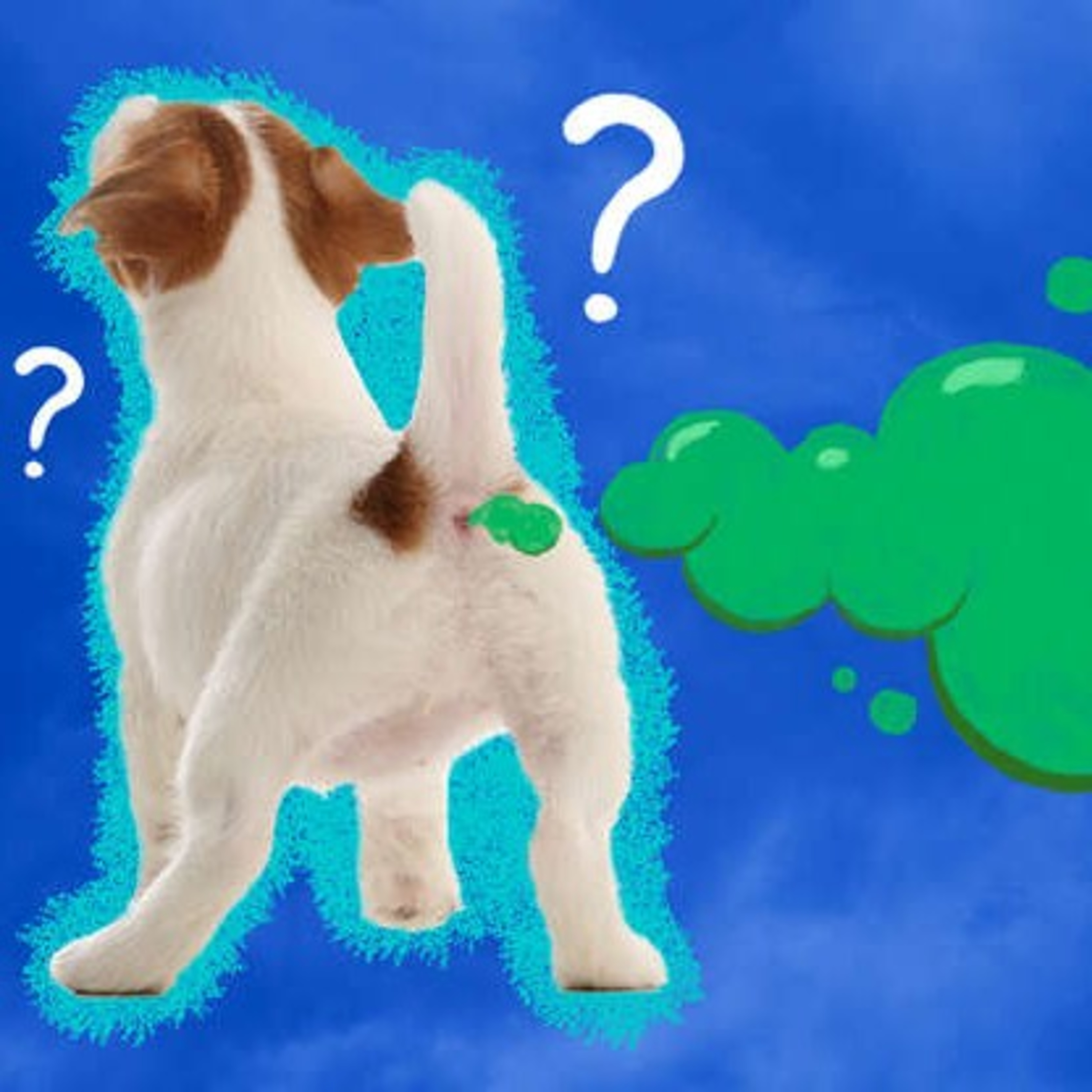 Doggie Farts (Featuring Daniel Son)