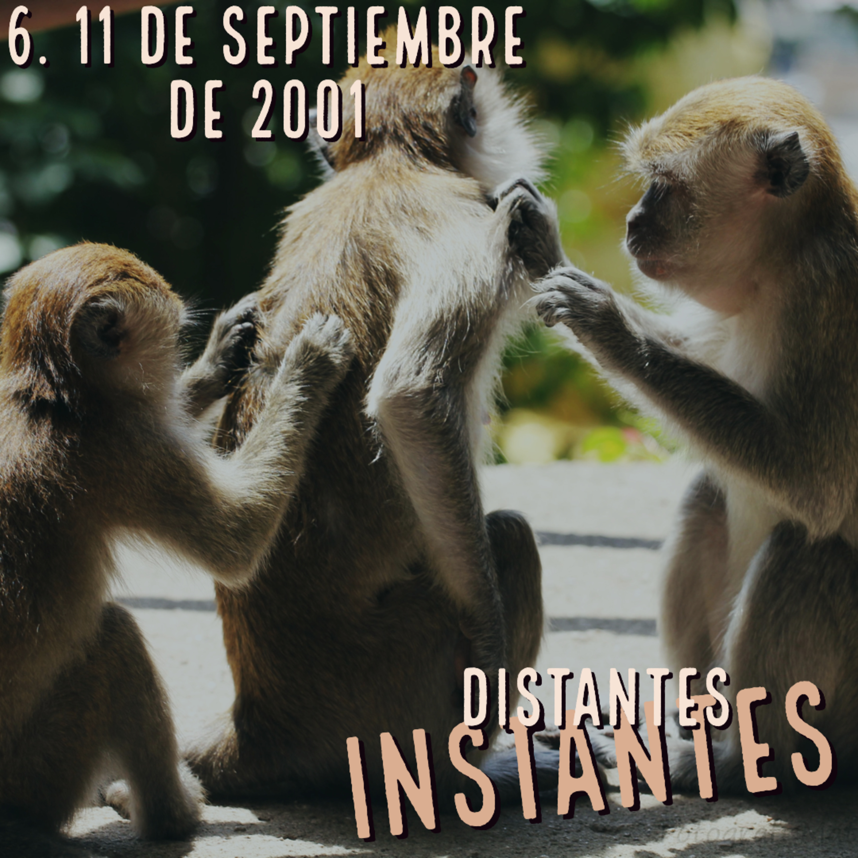 Distantes Instantes