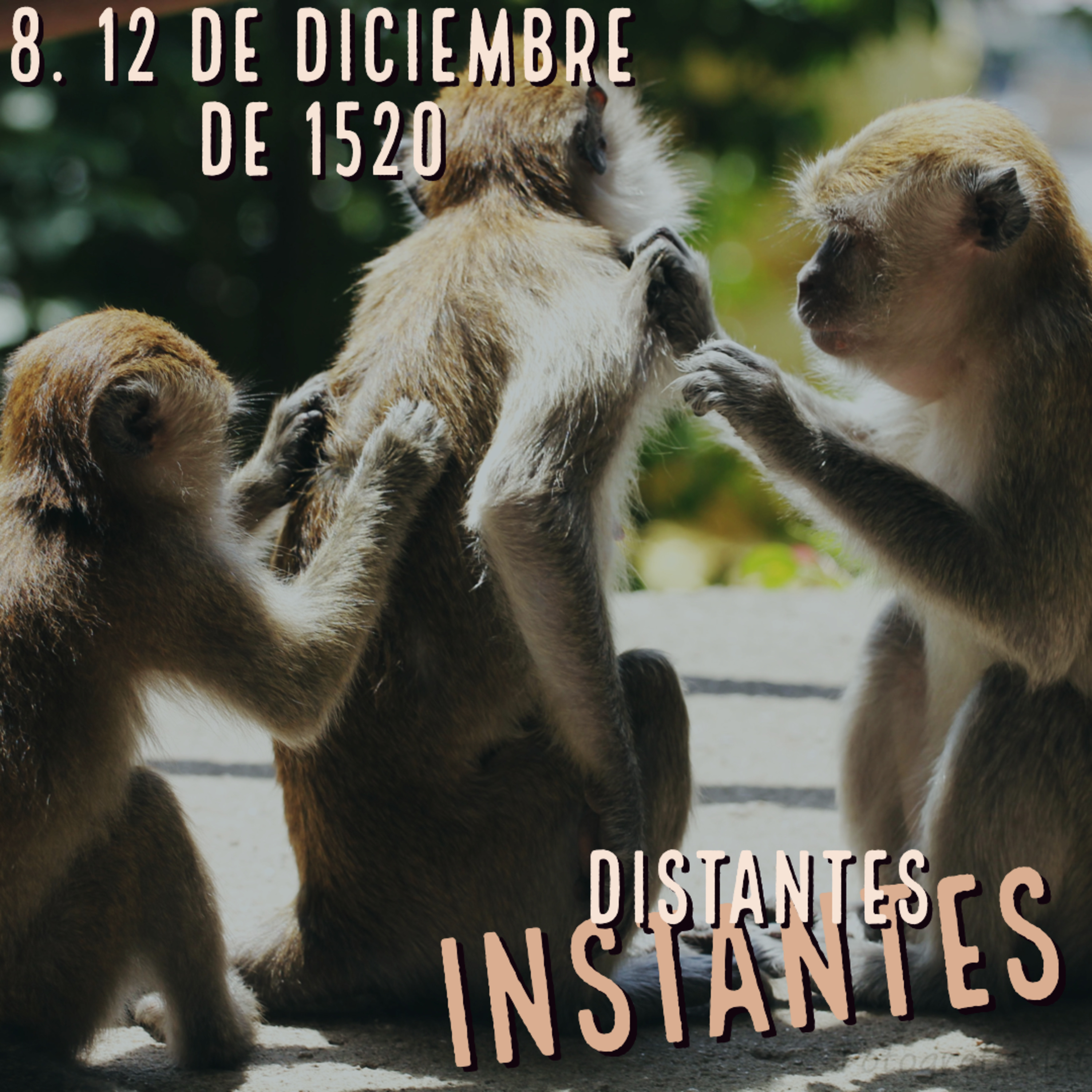 Distantes Instantes