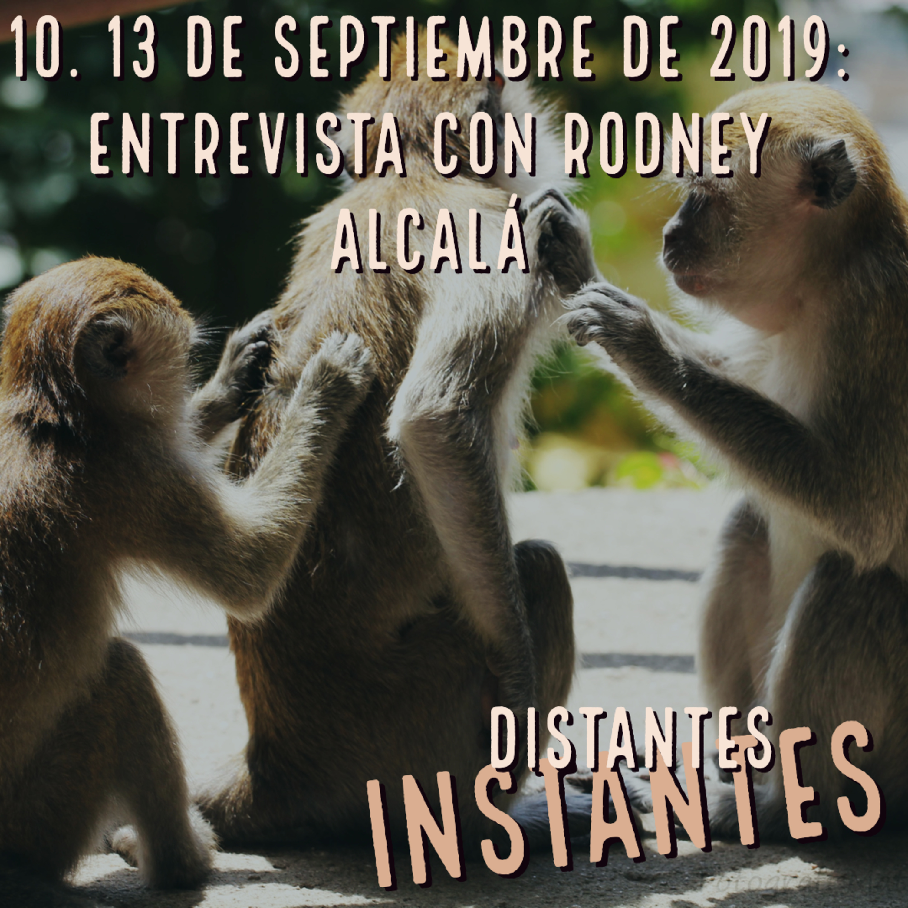 Distantes Instantes
