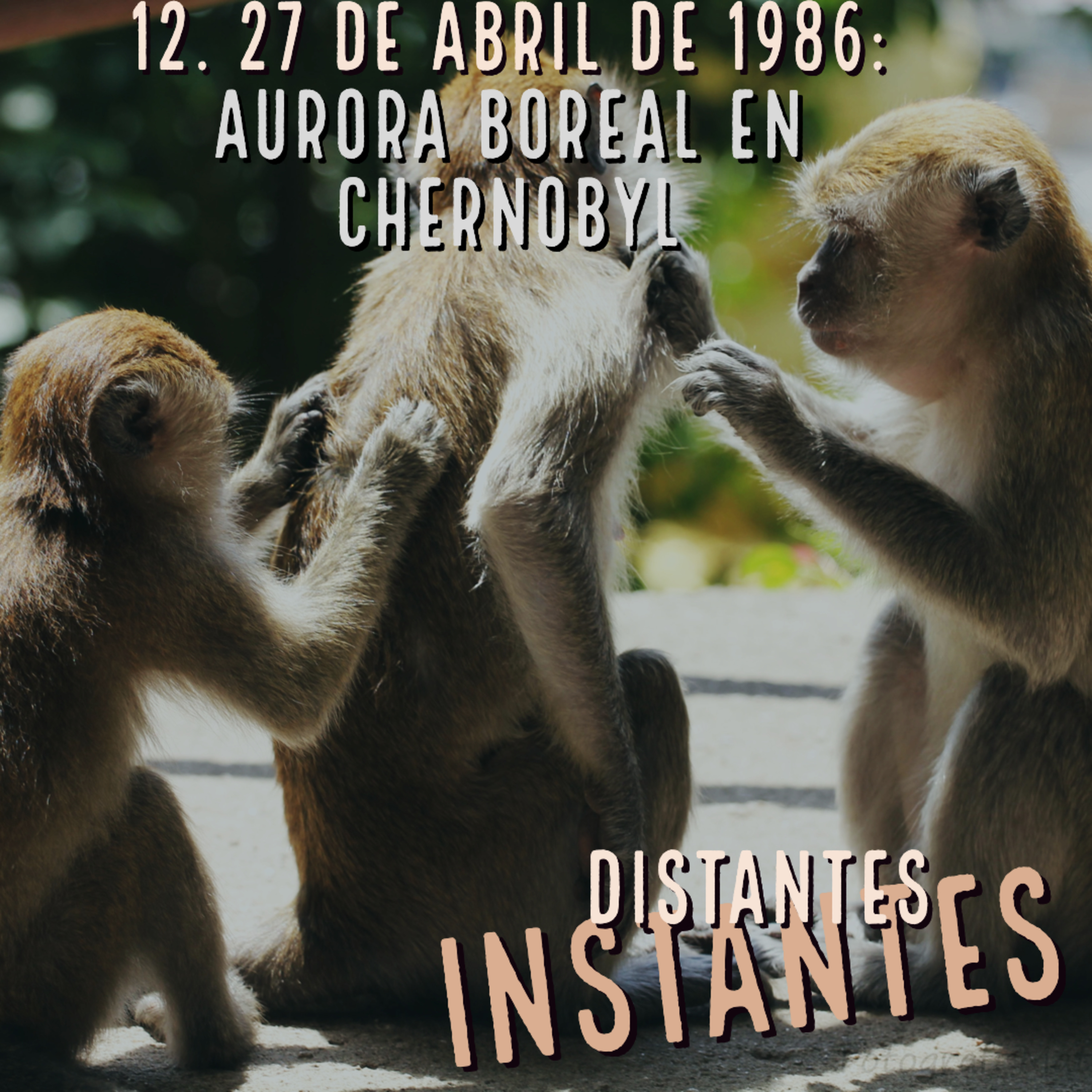 Distantes Instantes