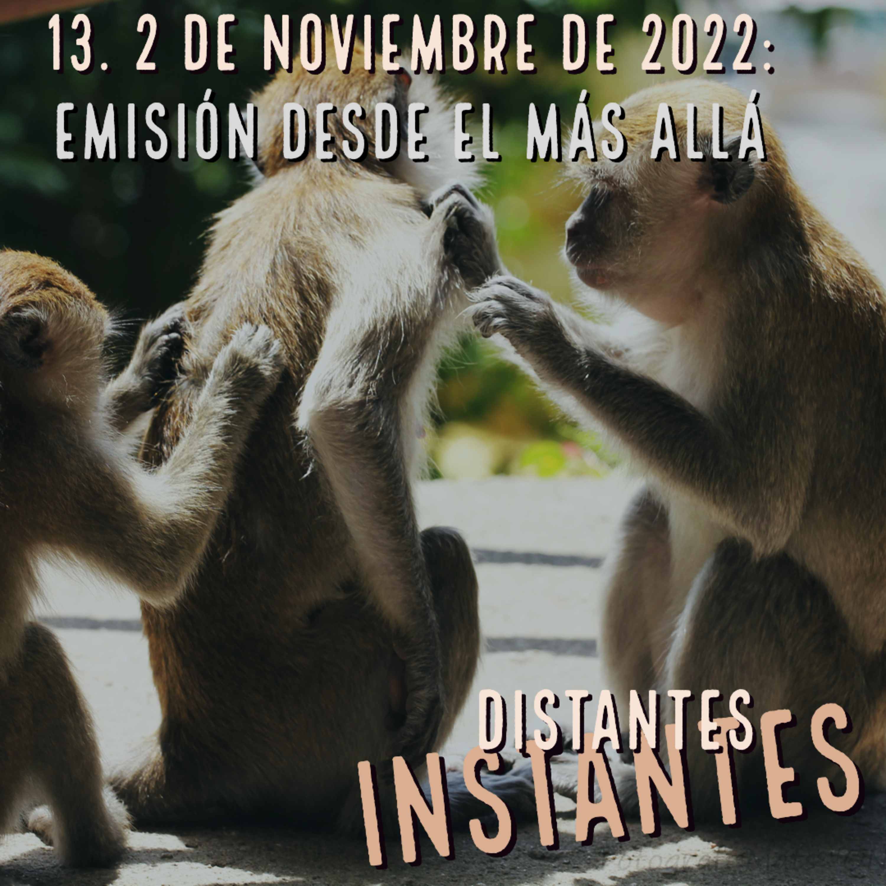 Distantes Instantes