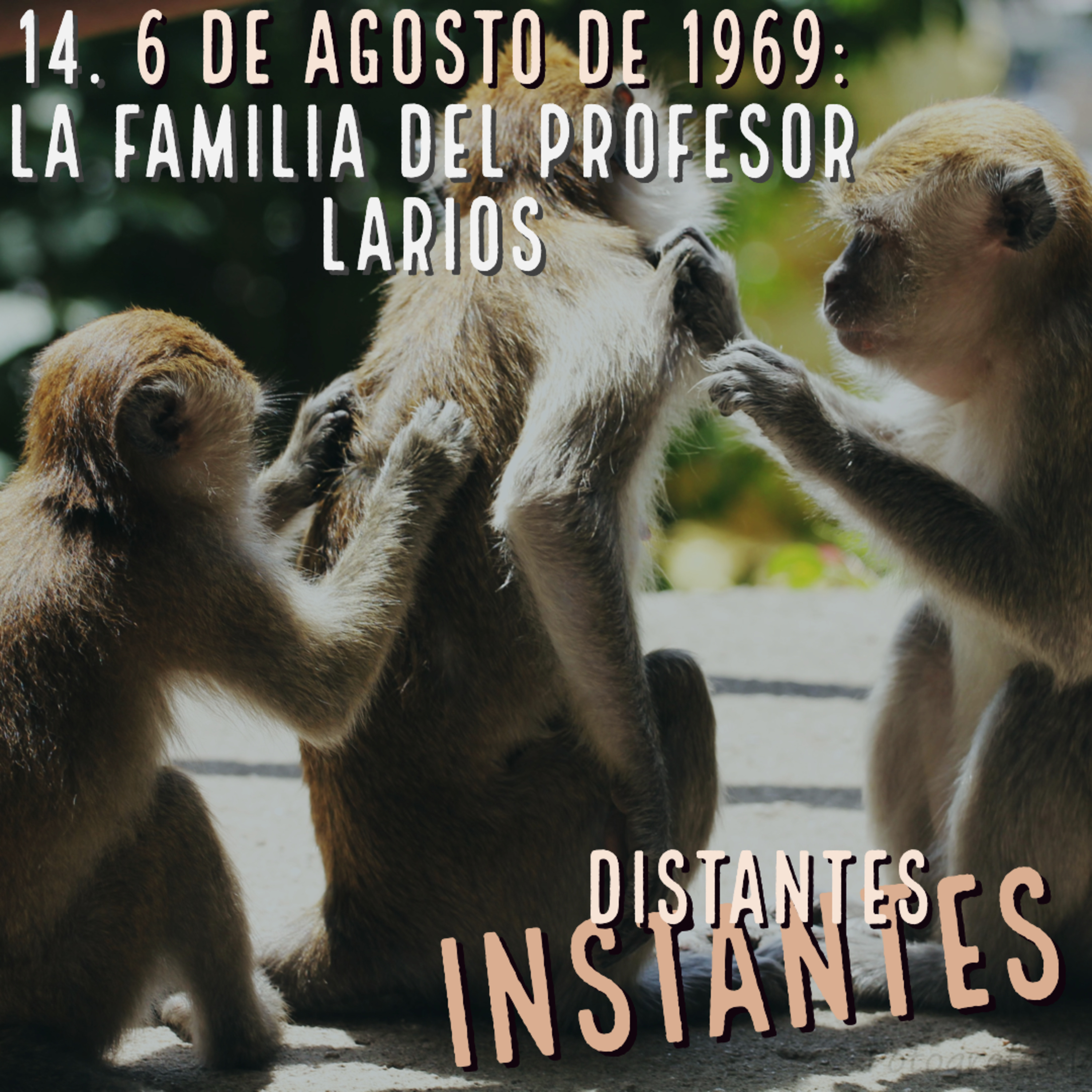 Distantes Instantes