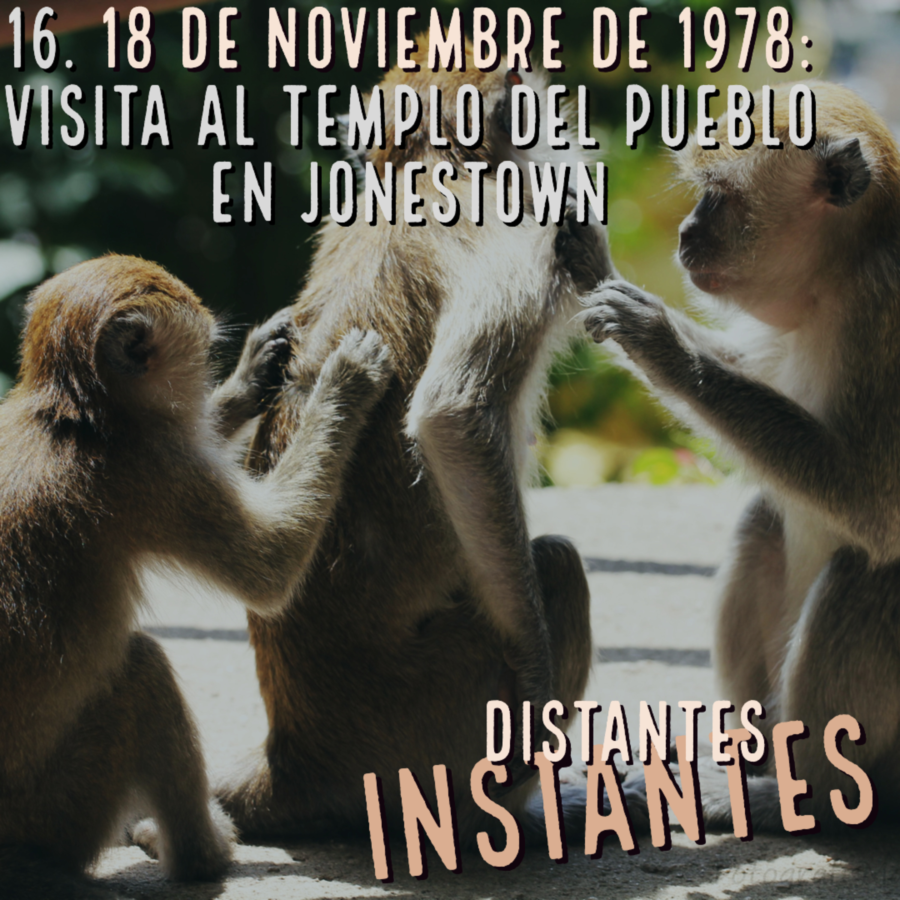 Distantes Instantes