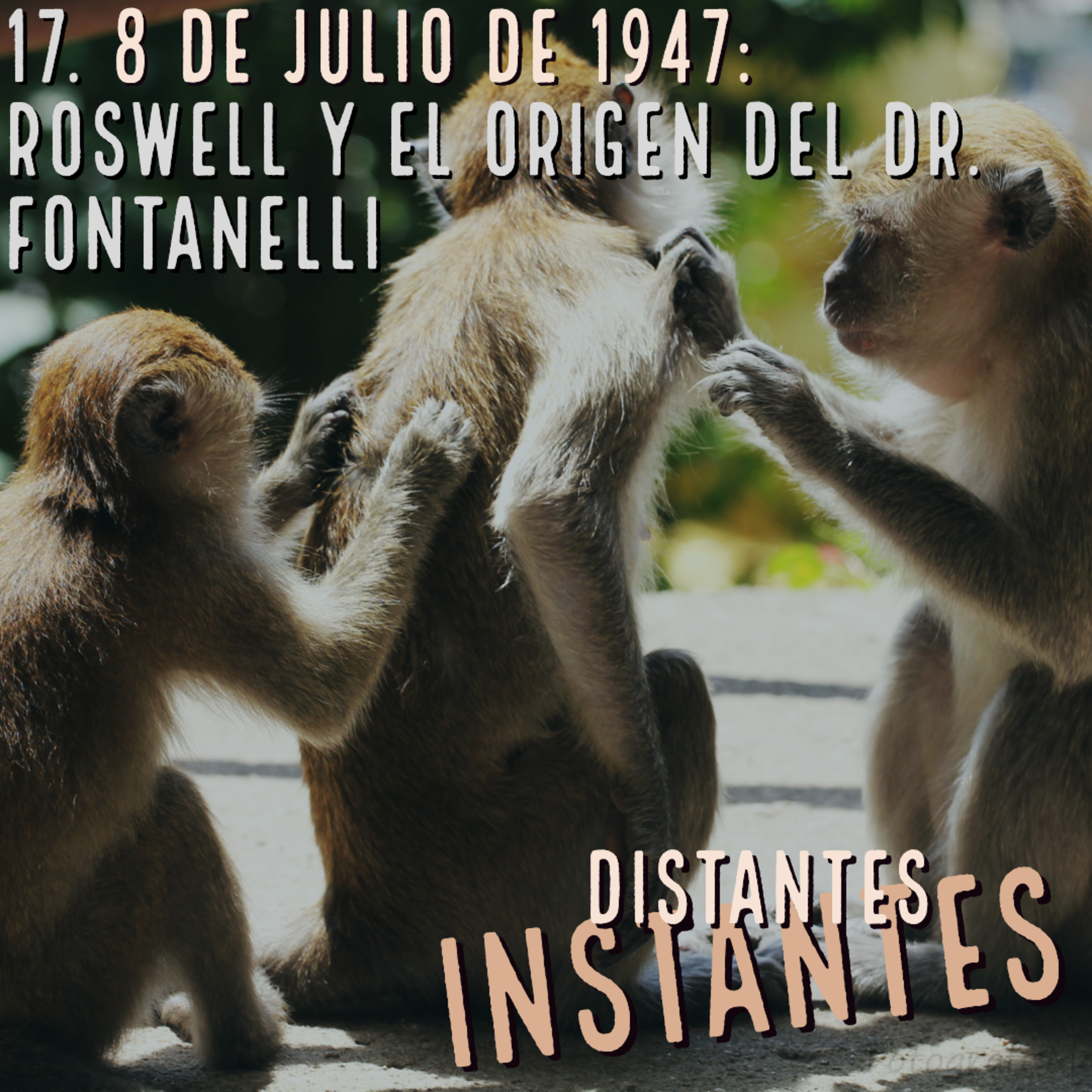 Distantes Instantes