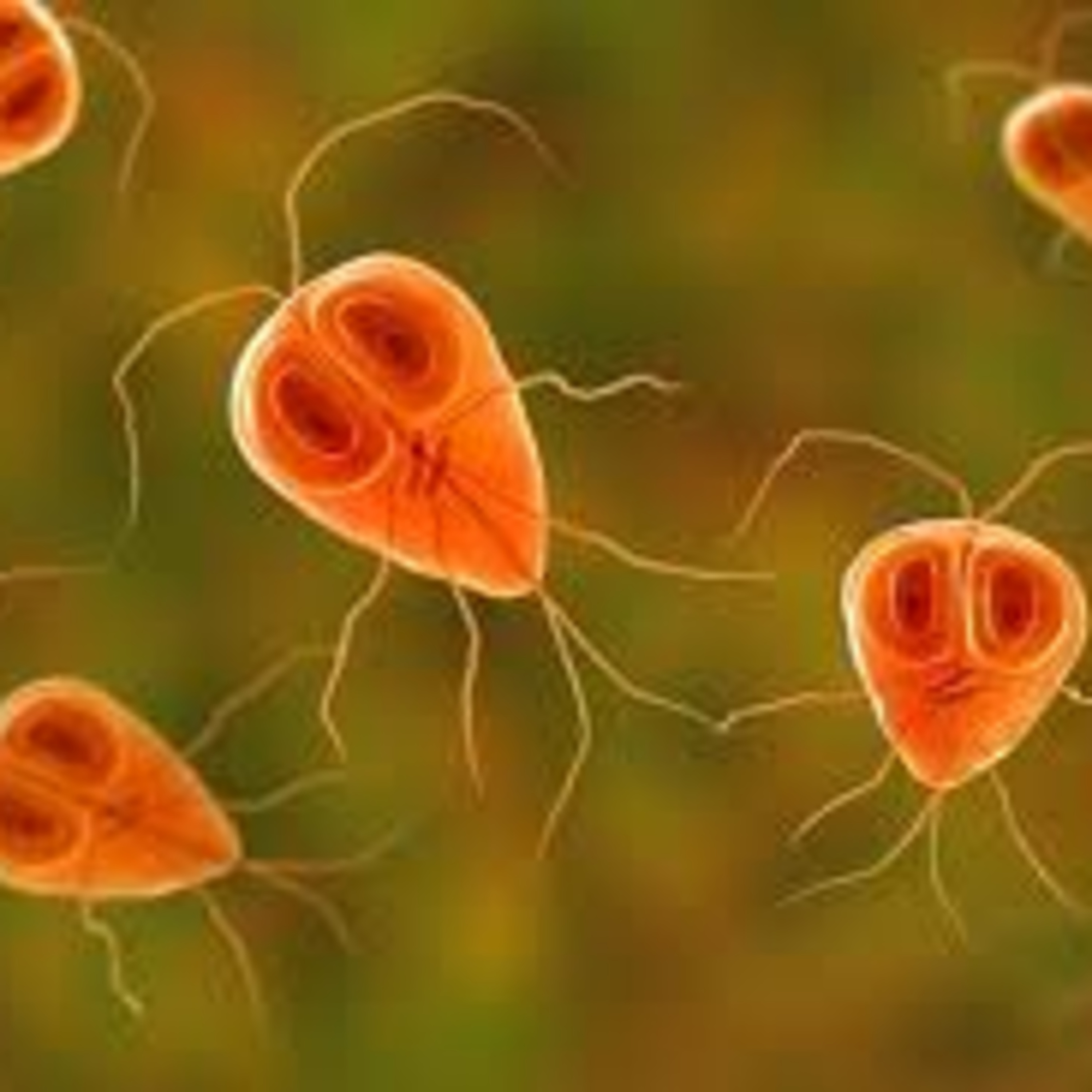 Episode 046 - Parasitic