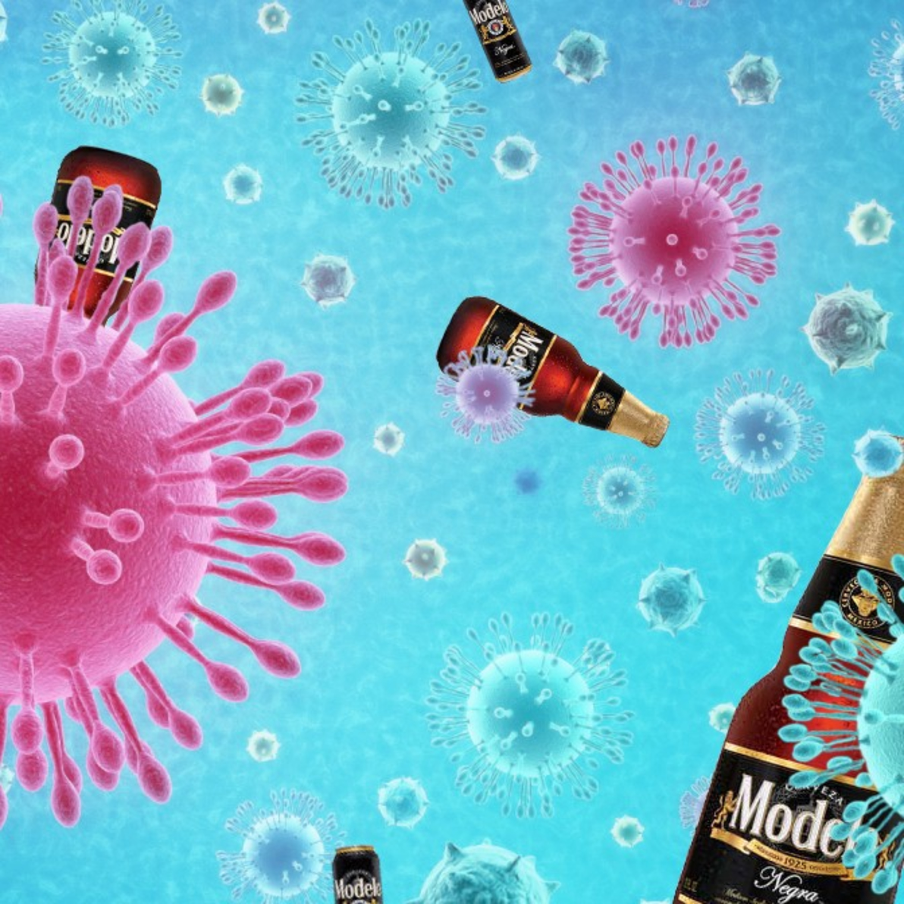 Special Report 005 - Where's the Negra Modelo Virus?