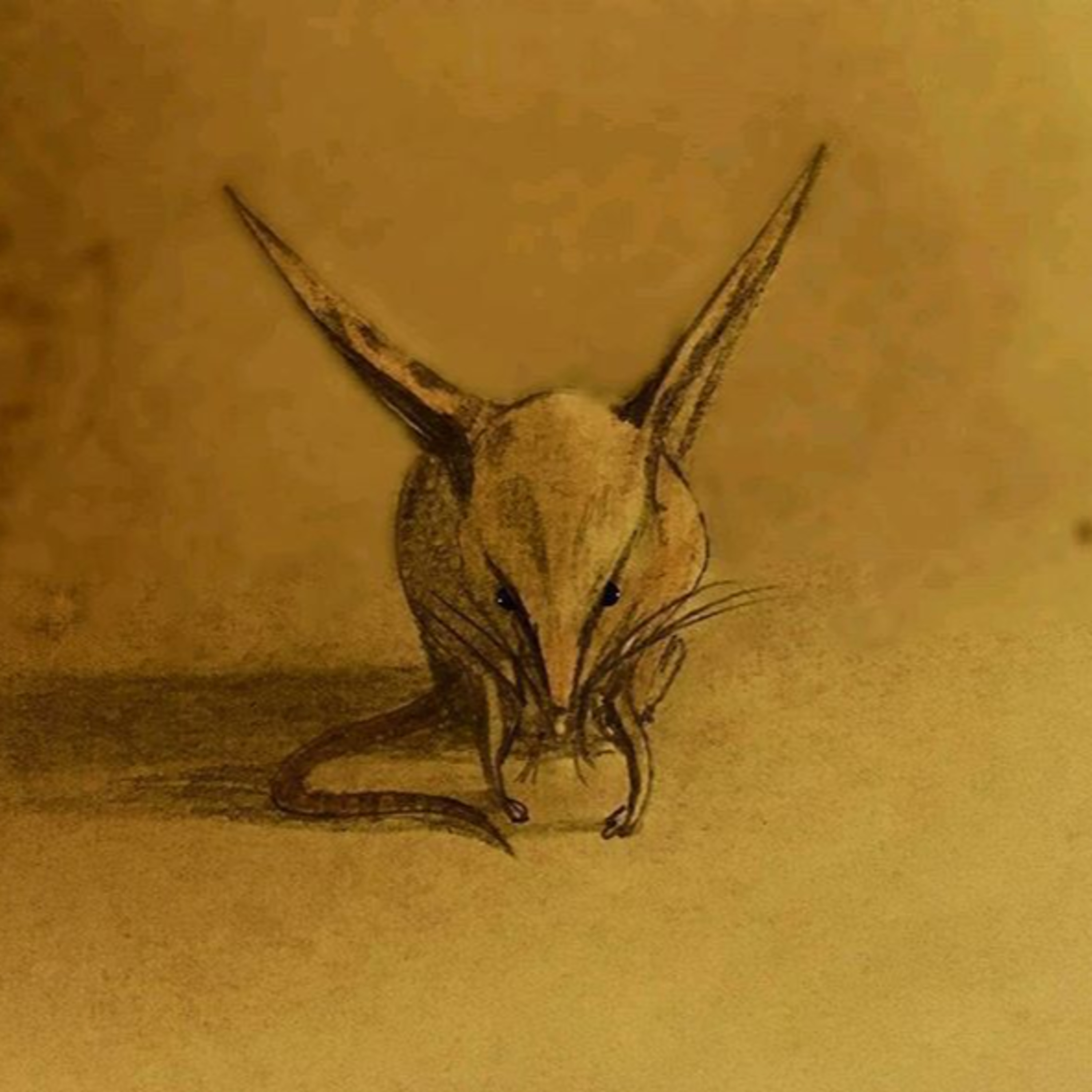 Special Report 024 - They Call That One Muad'Dib