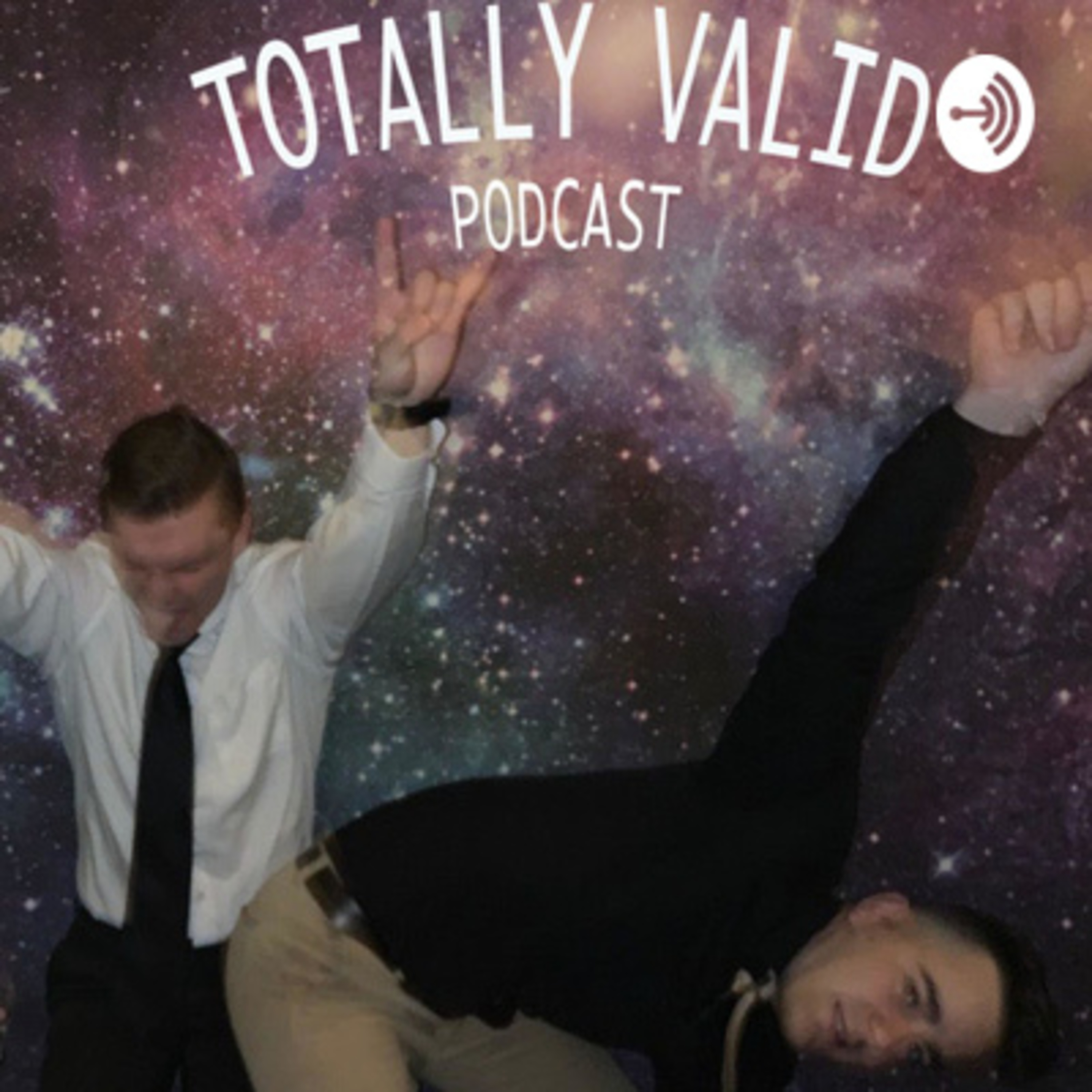 The Totally Valid Podcast