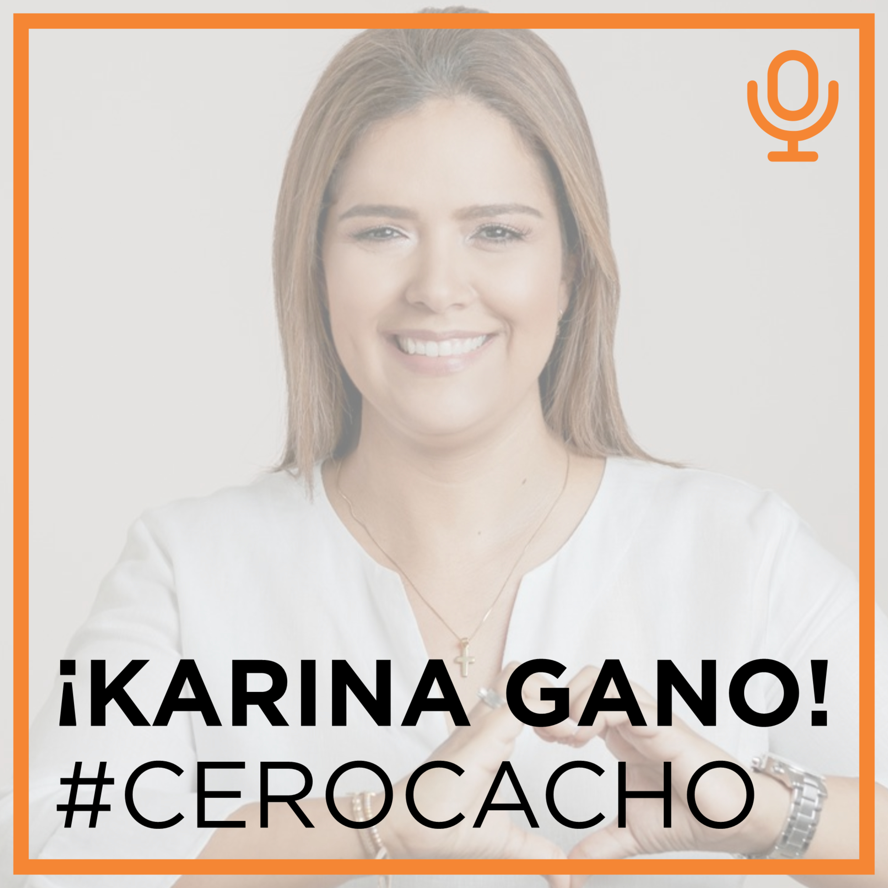 Política sin Políticos