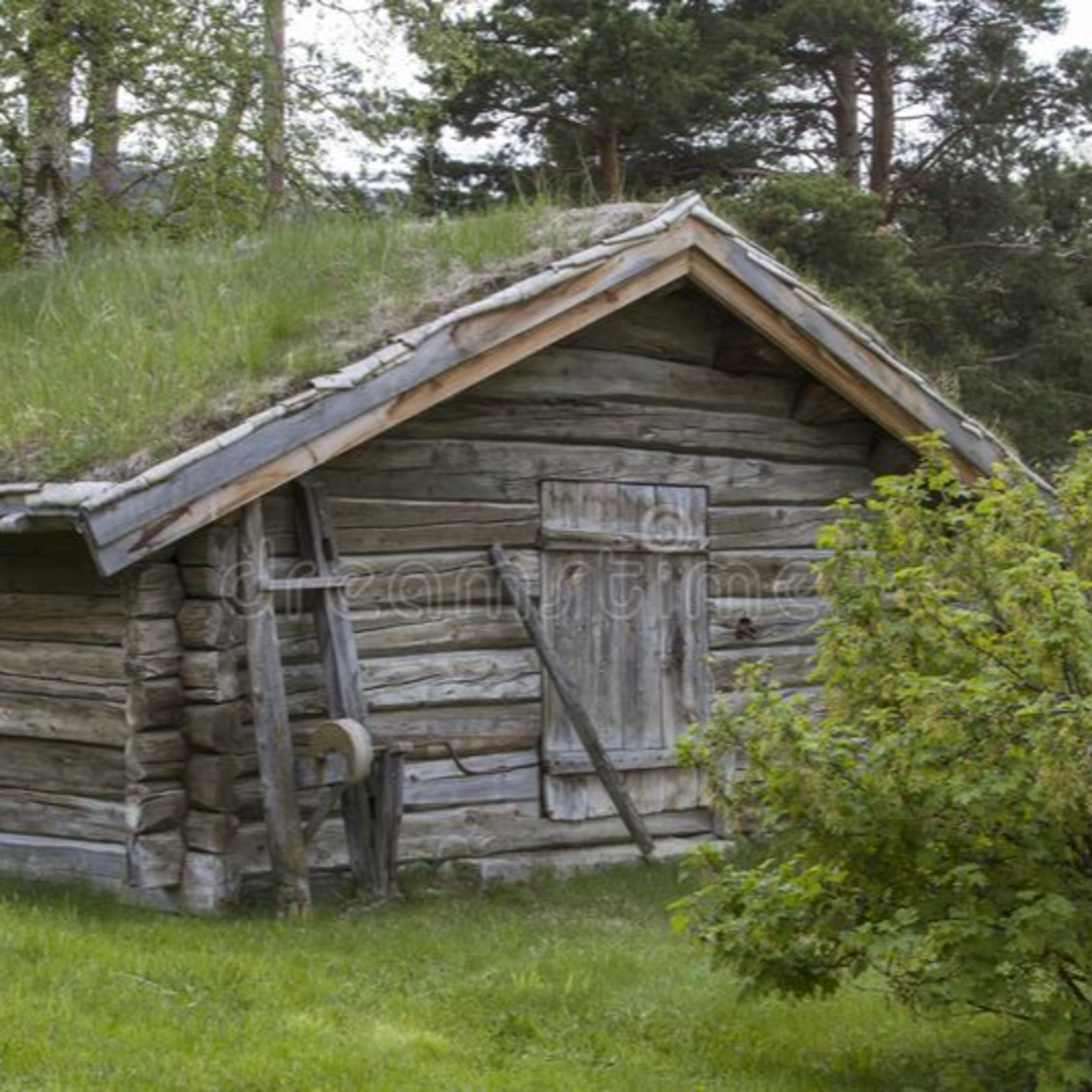 The Woman in Cabin 10