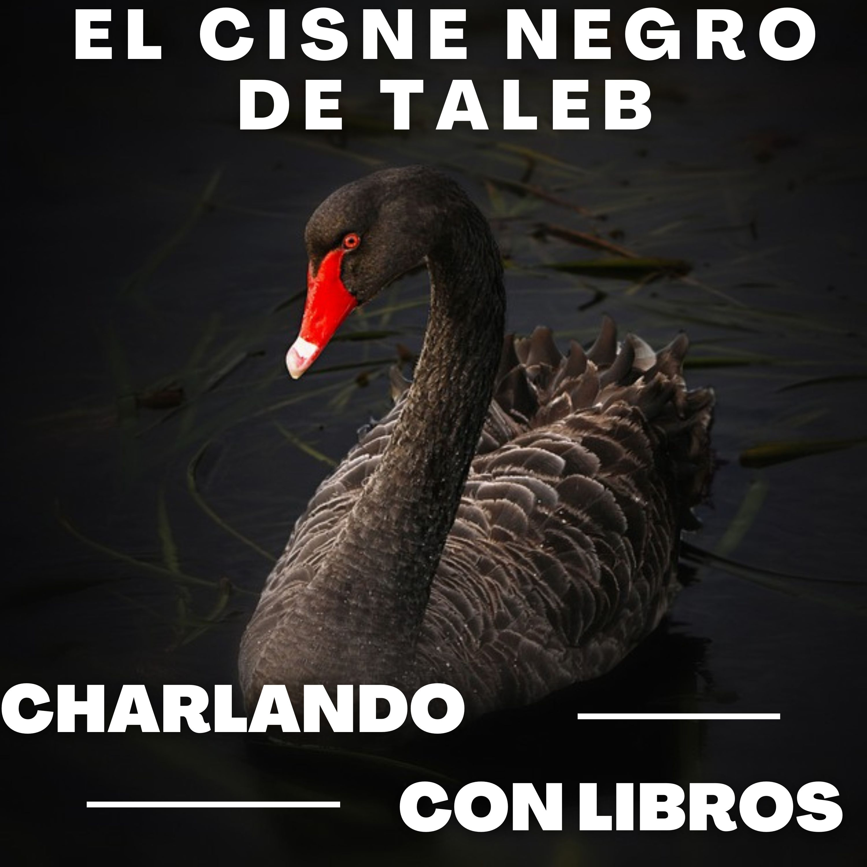 Charlando con libros - Adrián Sussudio