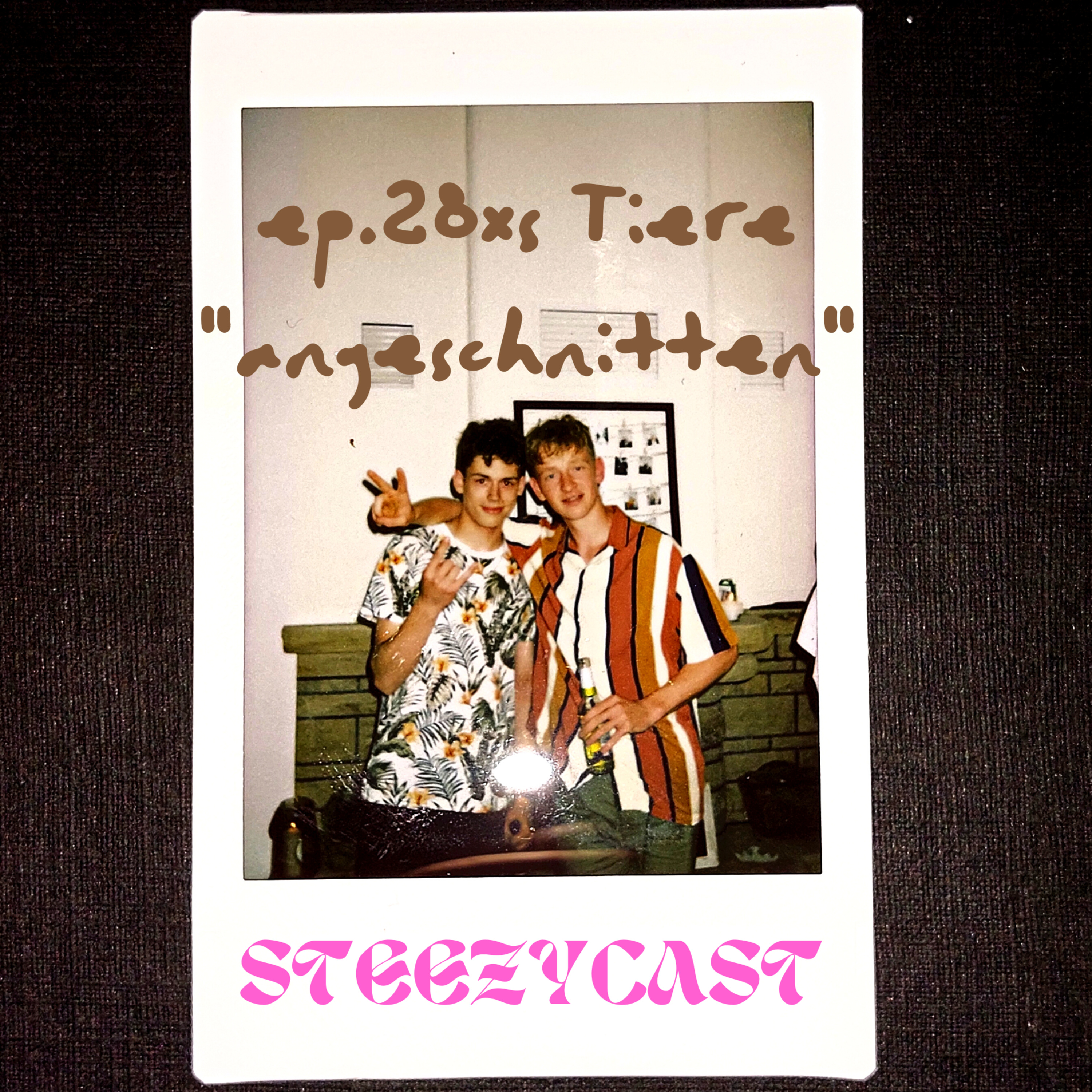 Steezycast