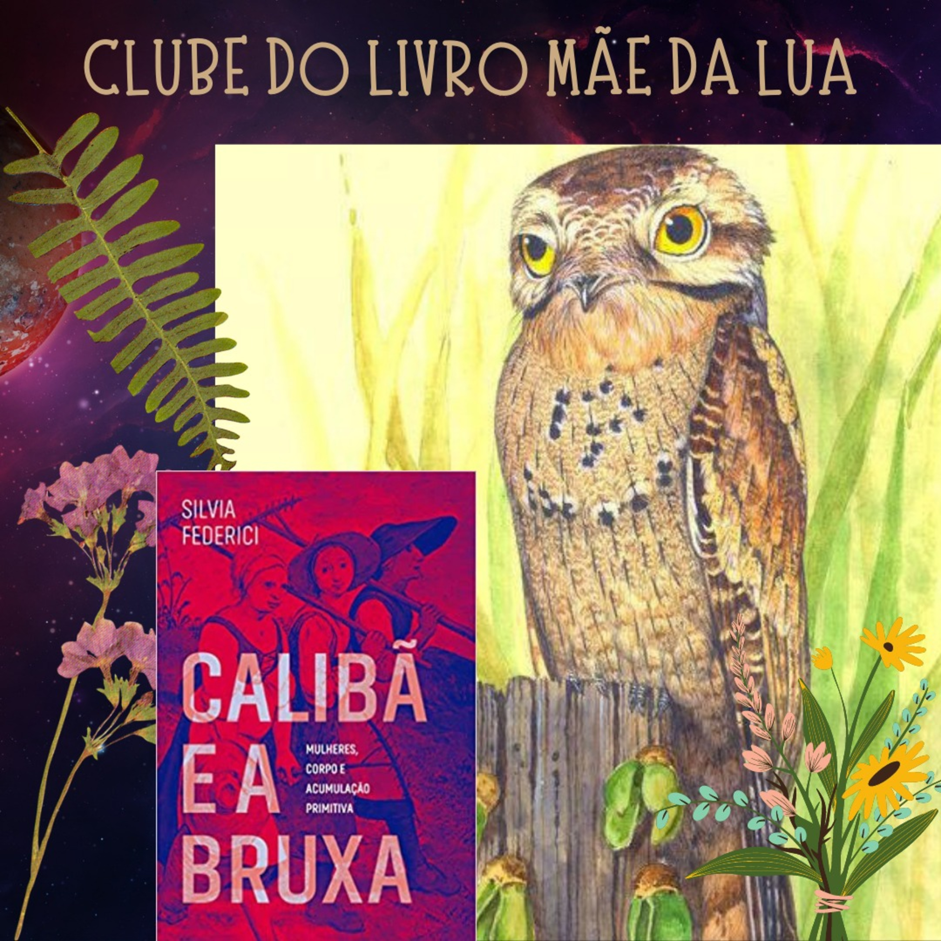 Clube Do Livro Mãe Da Lua