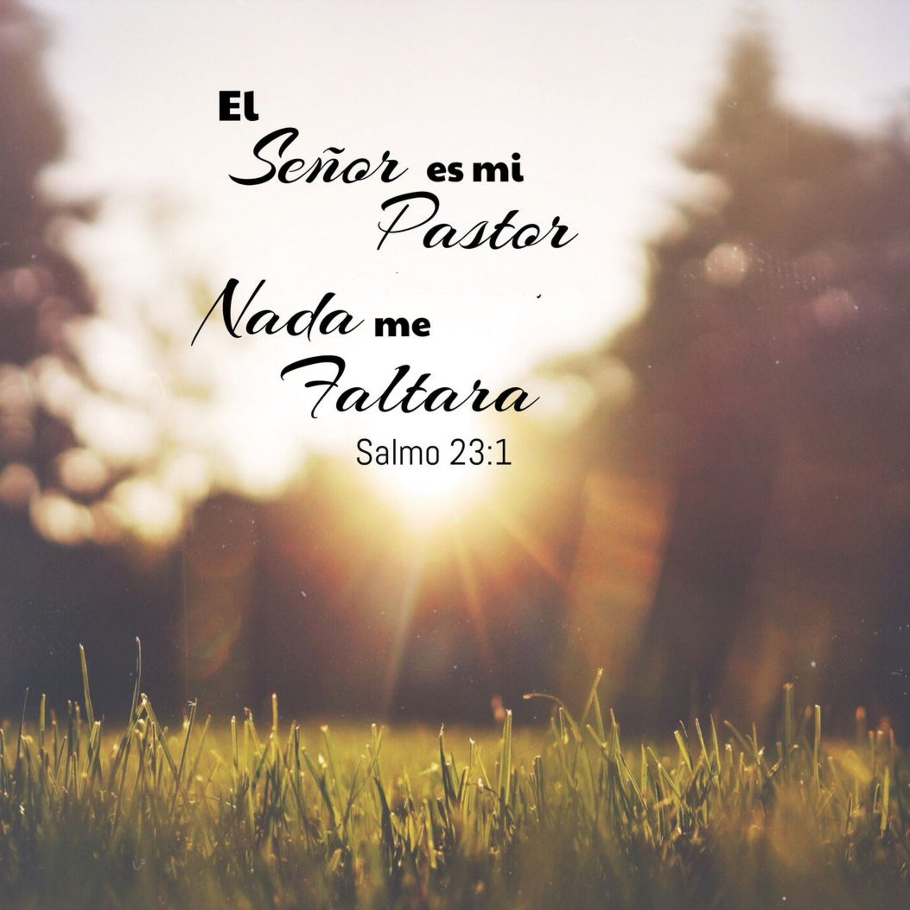 Enseñanzas al Servicio De DIOS