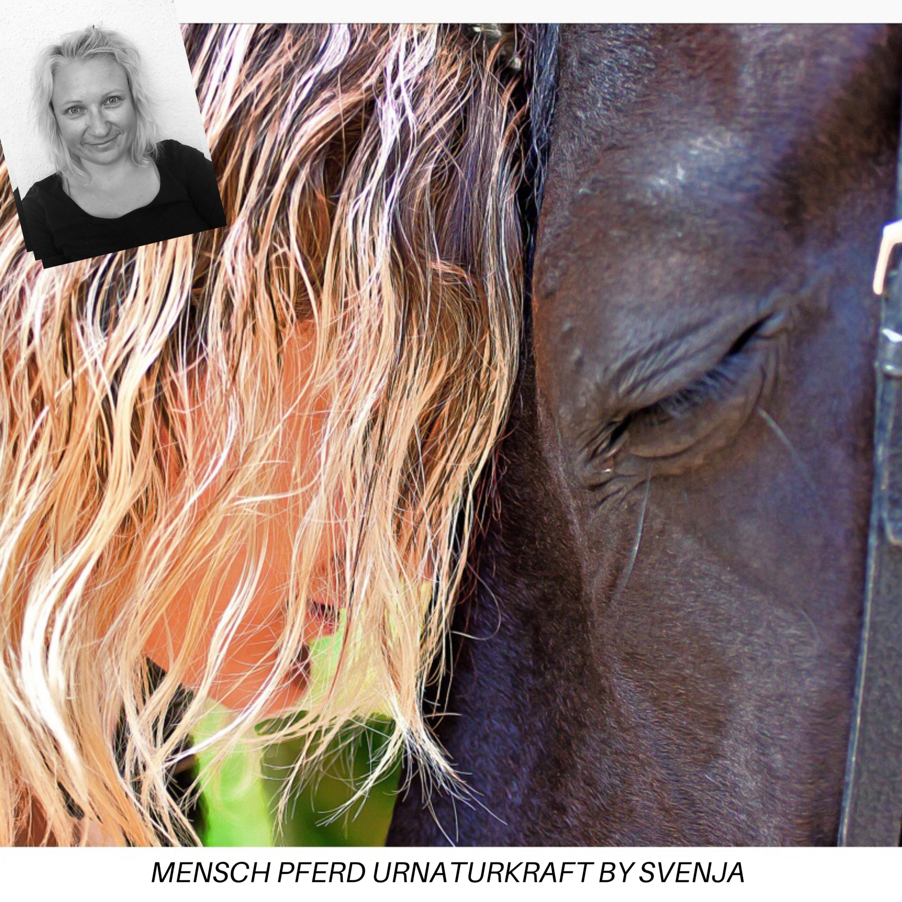 Svenja 💚💚 Pferd Mensch Urnaturkraft 💚💚