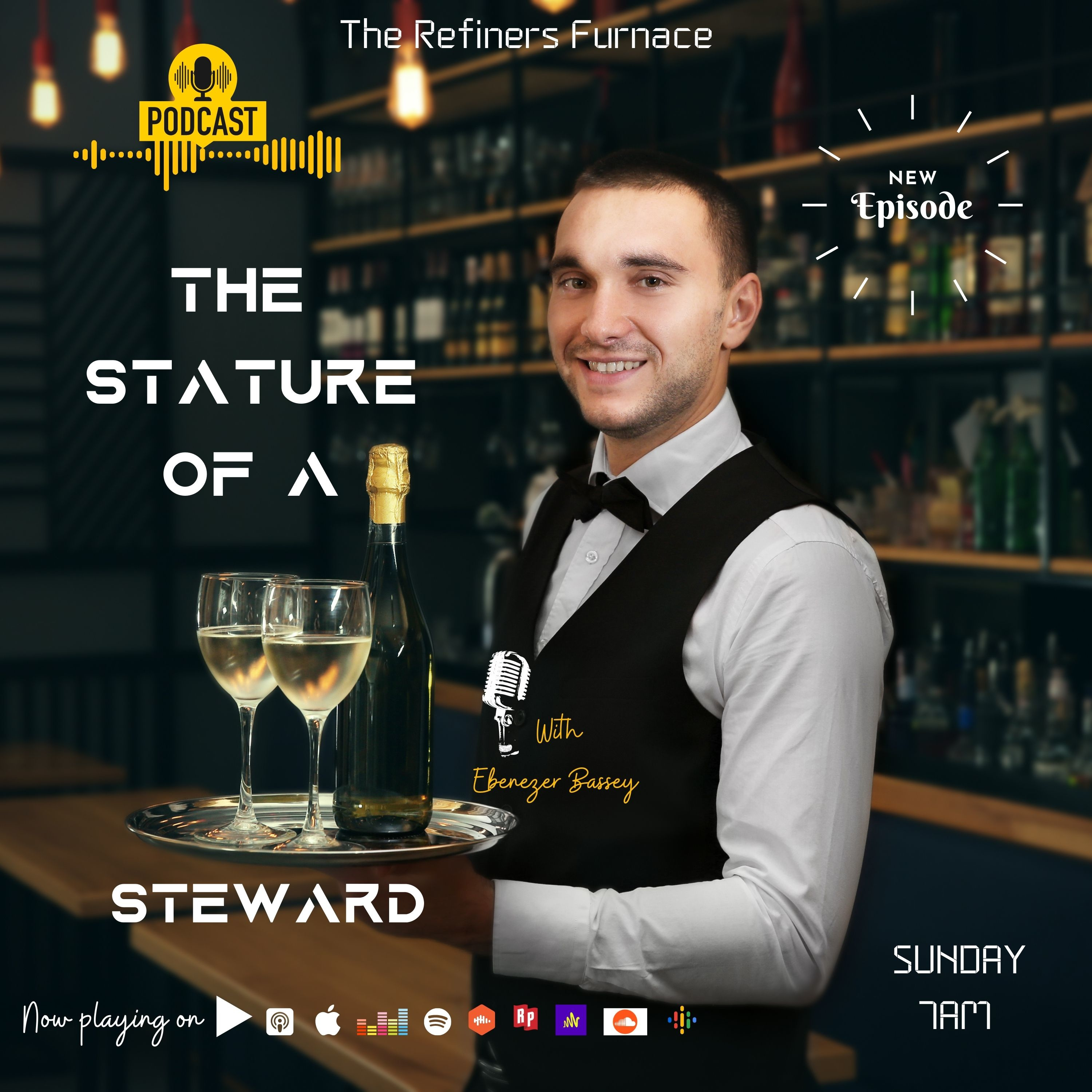THE STATURE OF A STEWARD  episode artwork