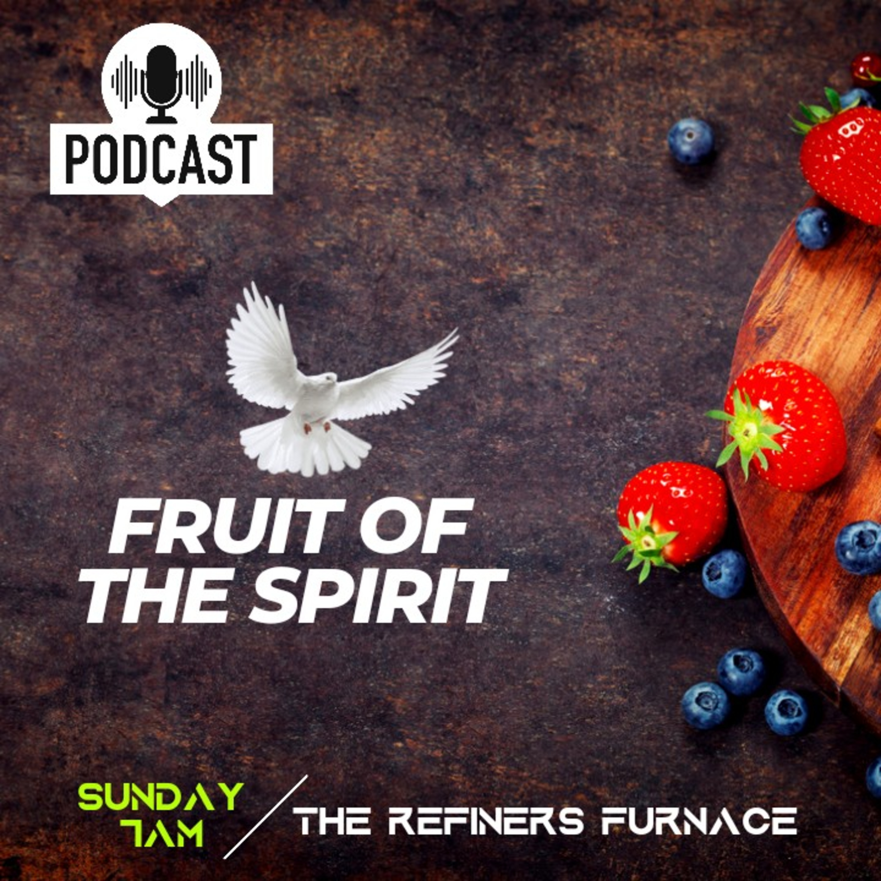 FRUIT OF THE SPIRIT  episode artwork