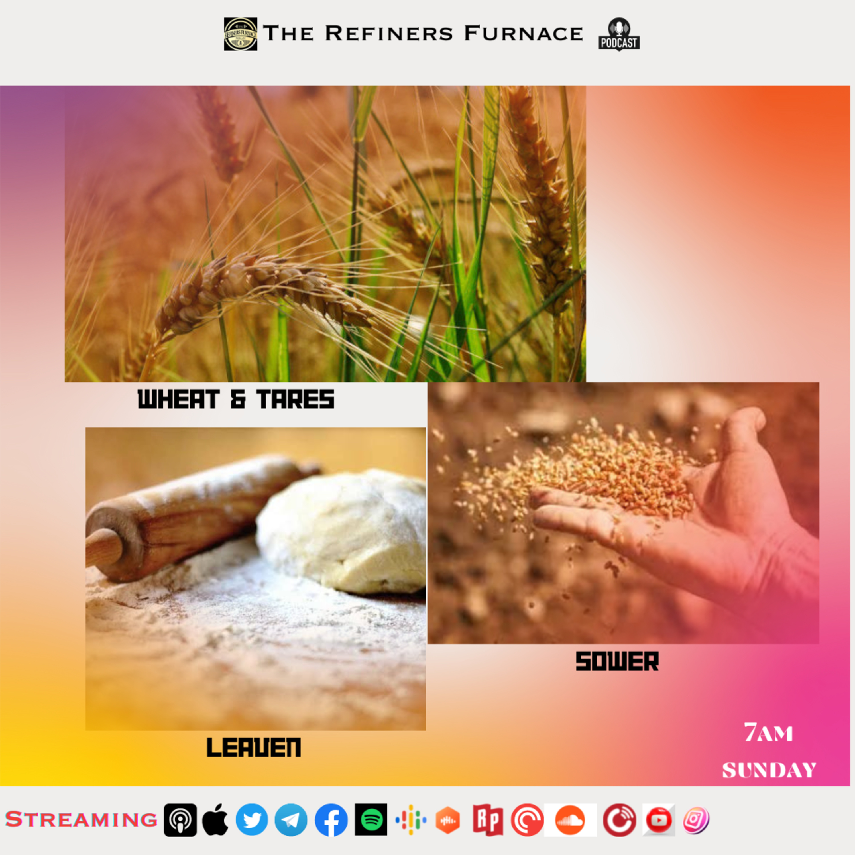 THE PARABLES OF THE WHEAT & TARES, THE SOWER AND THE LEAVEN  episode artwork