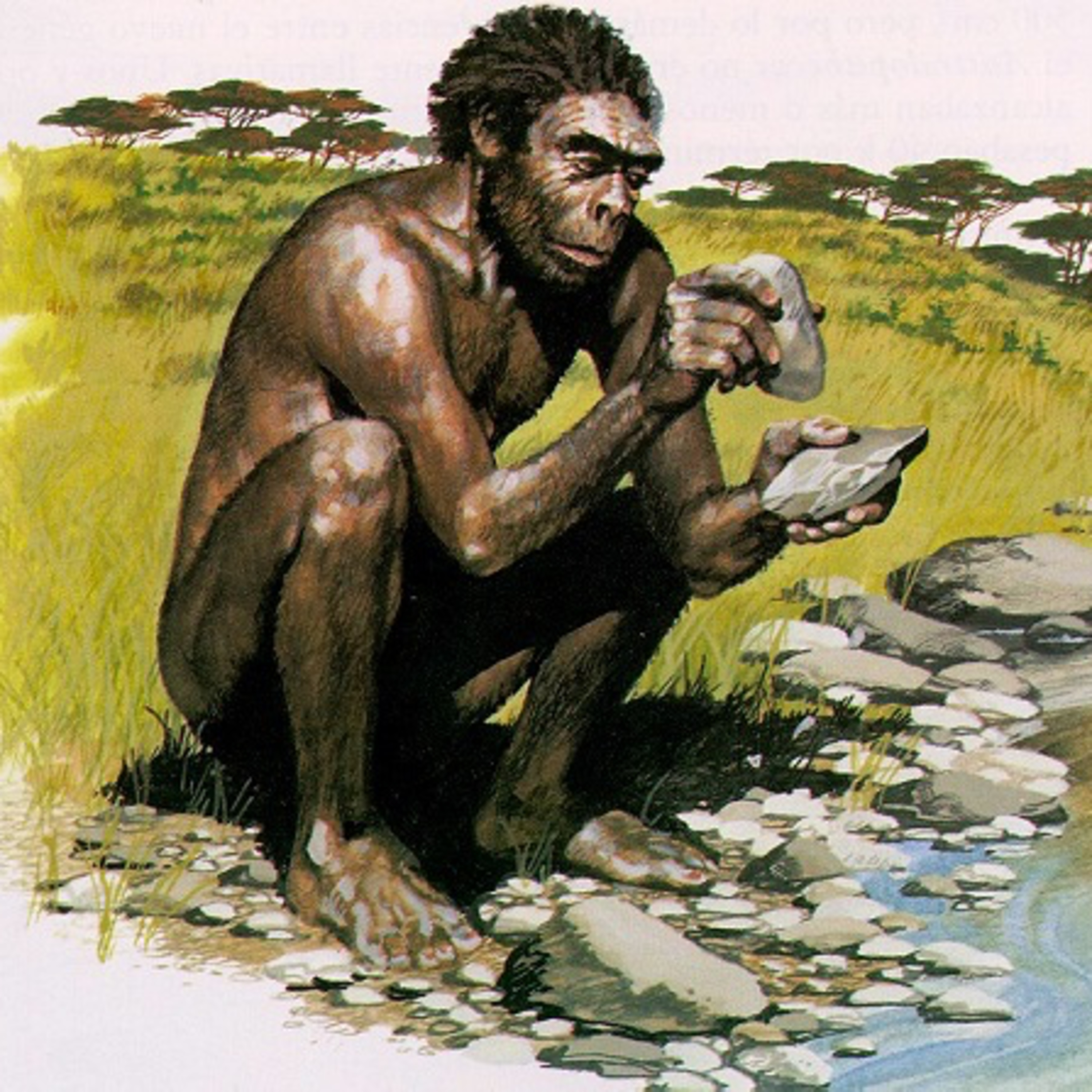 Урок №1. Древняя история Украины