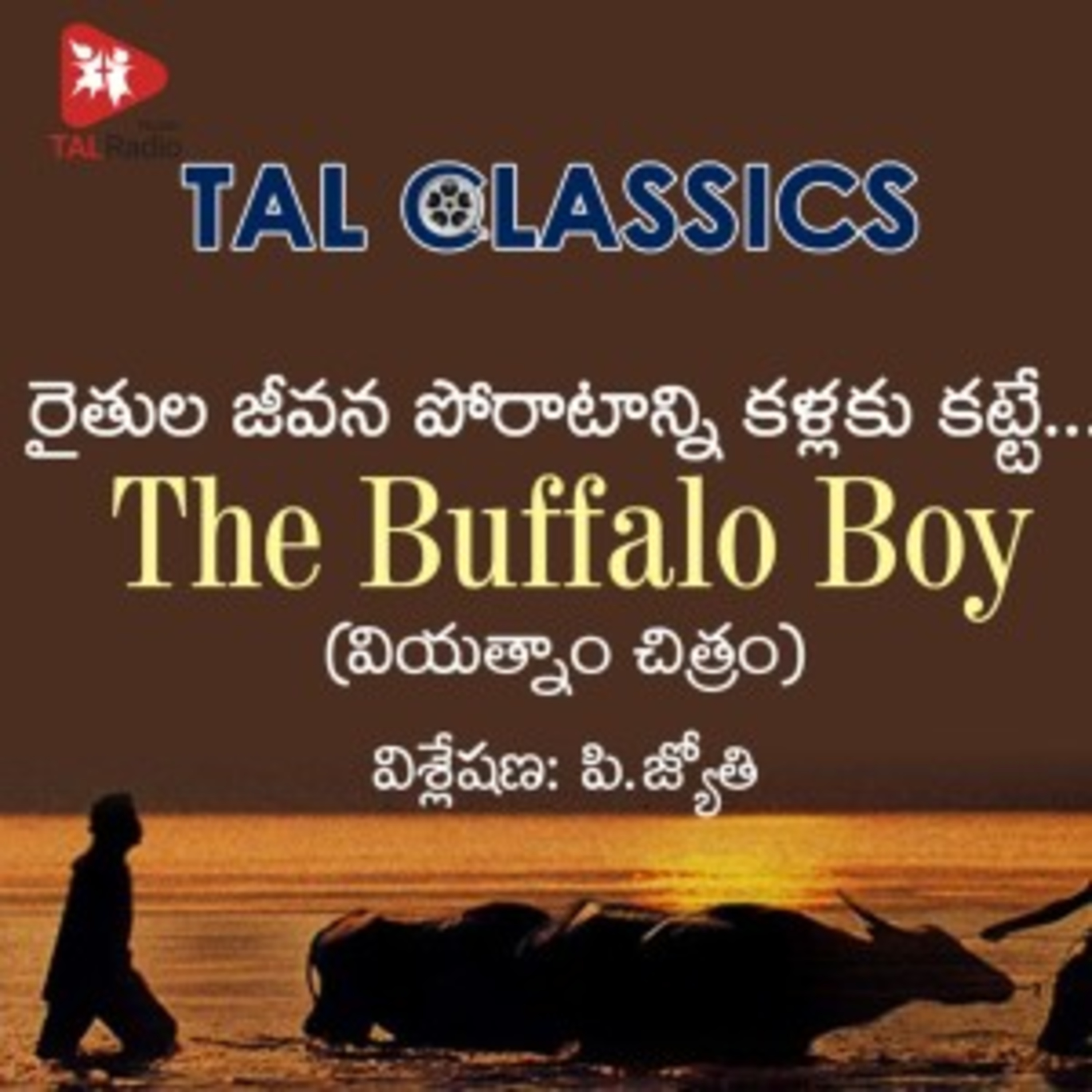 The Buffalo Boy | TAL Classics