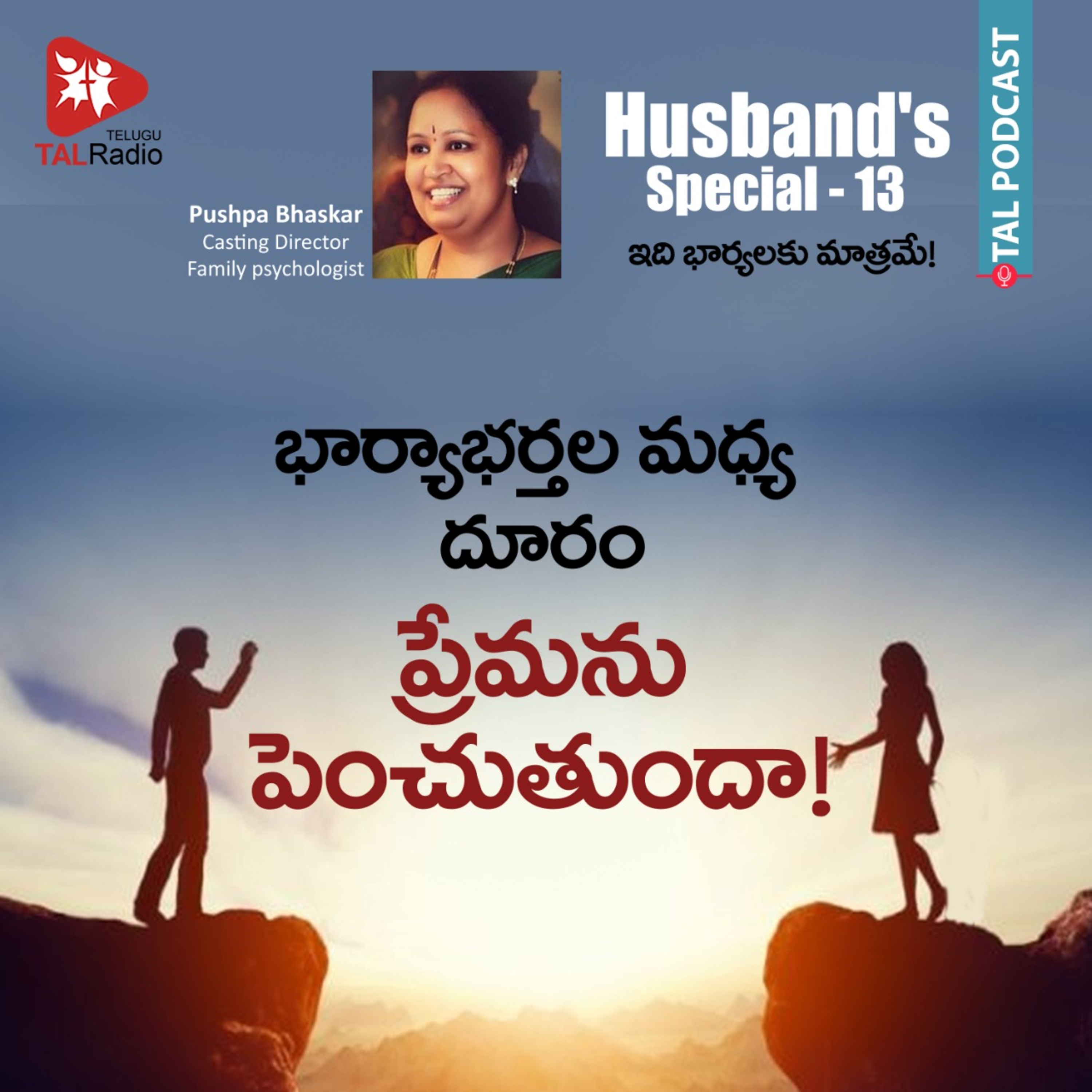 Does Husband and Wife grow closer after distancing | Husband's Special - 13 episode artwork