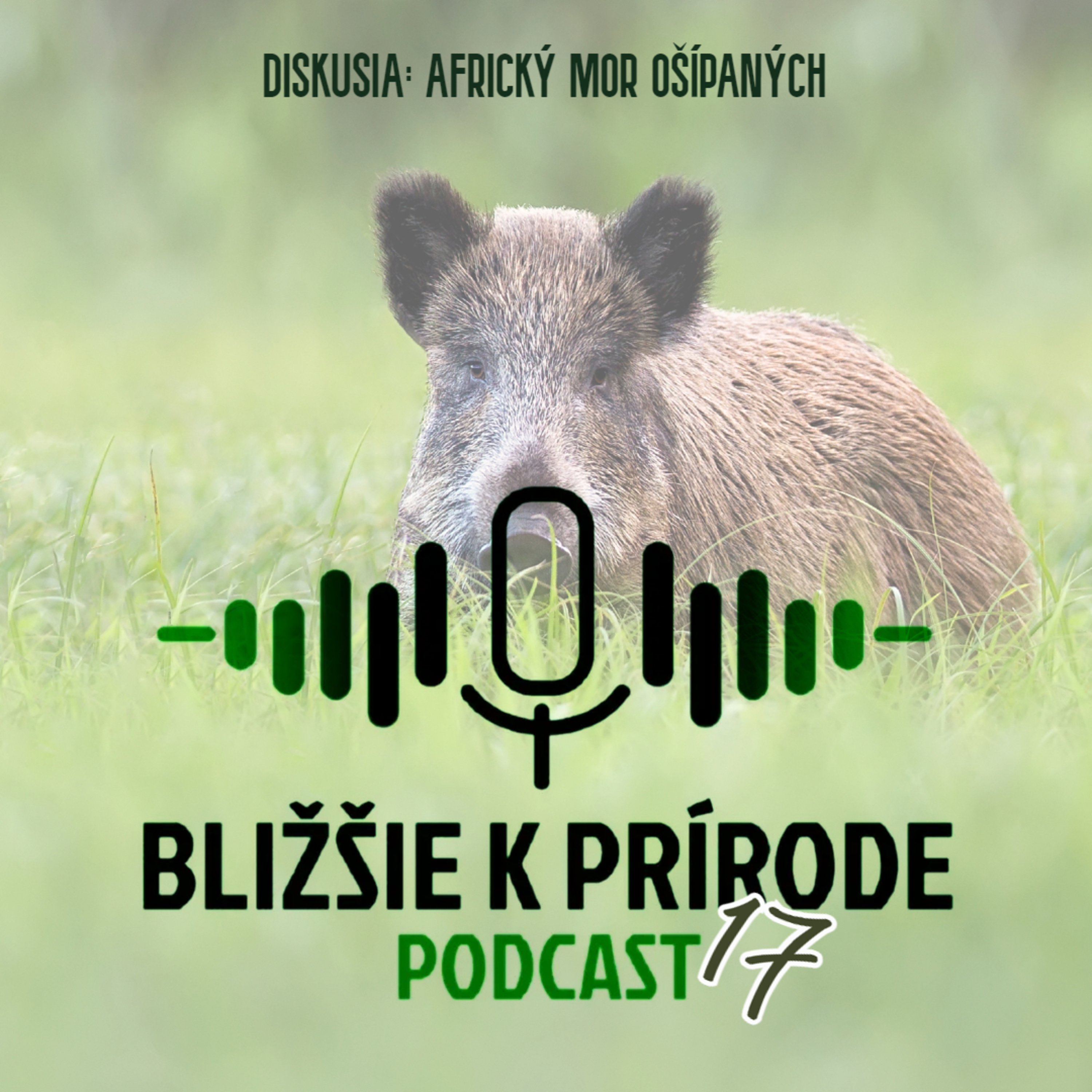 Bližšie k prírode