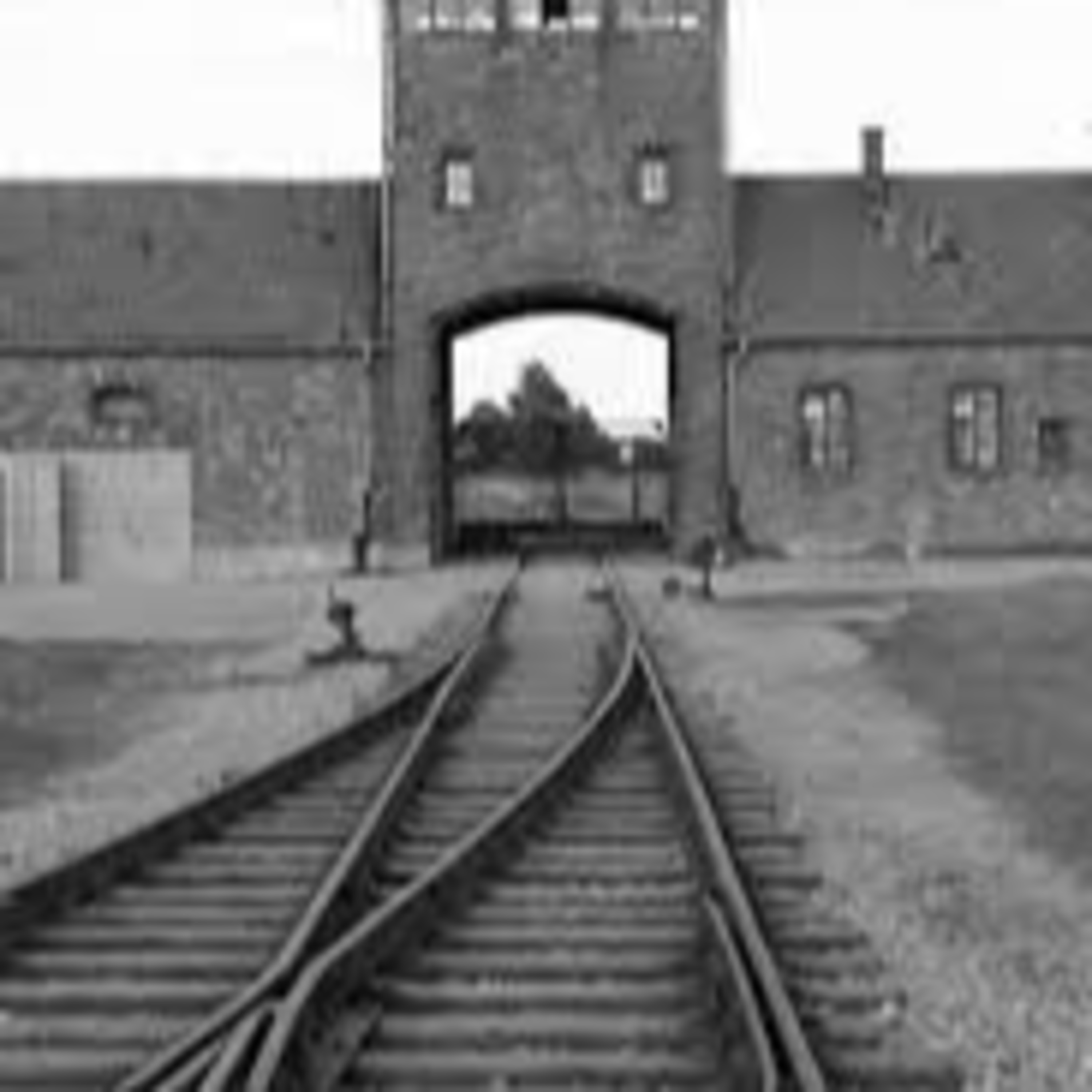 The Holocaust episode artwork