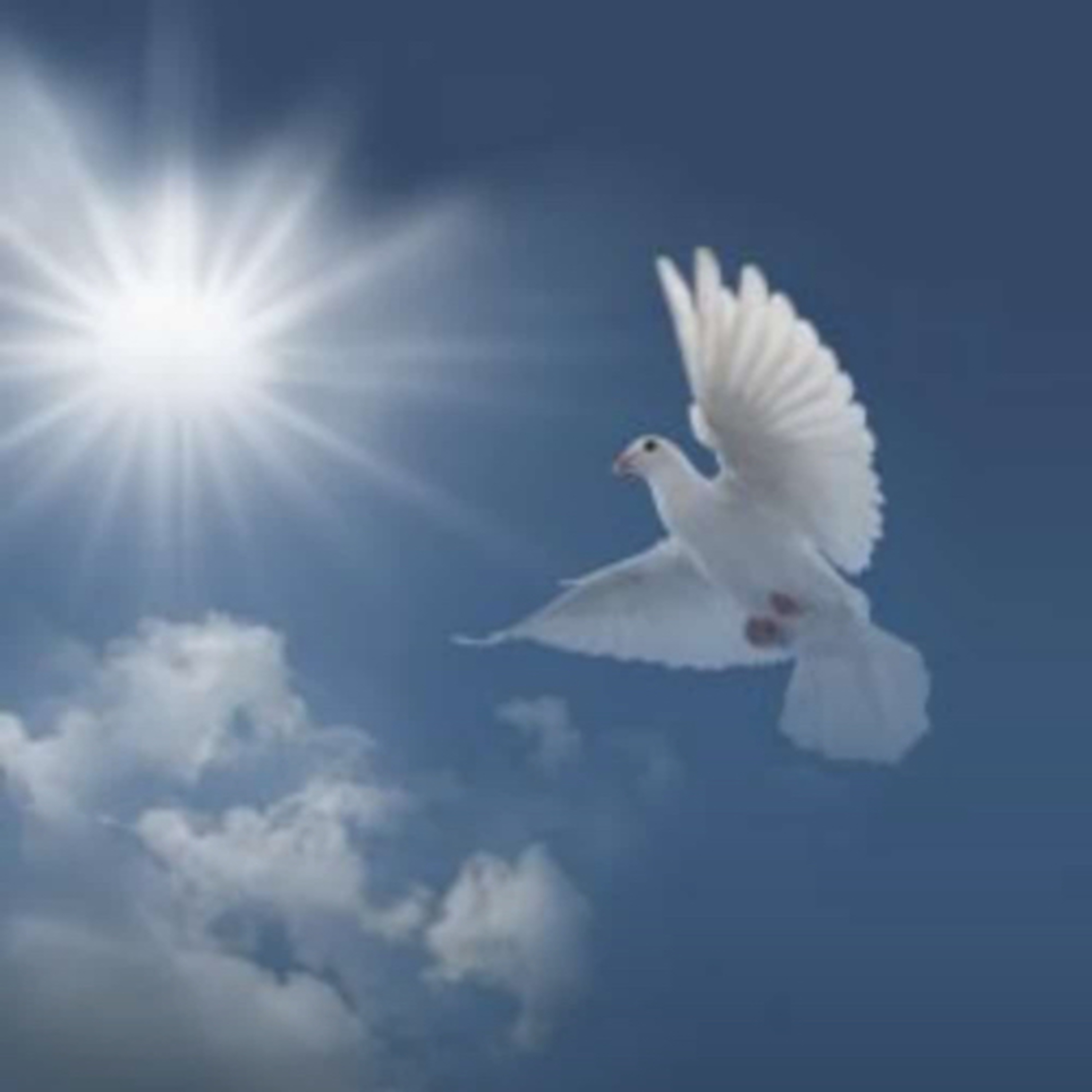 Didier Destouches/ L’ANTHOLOGIE SOLAIRE 🌞